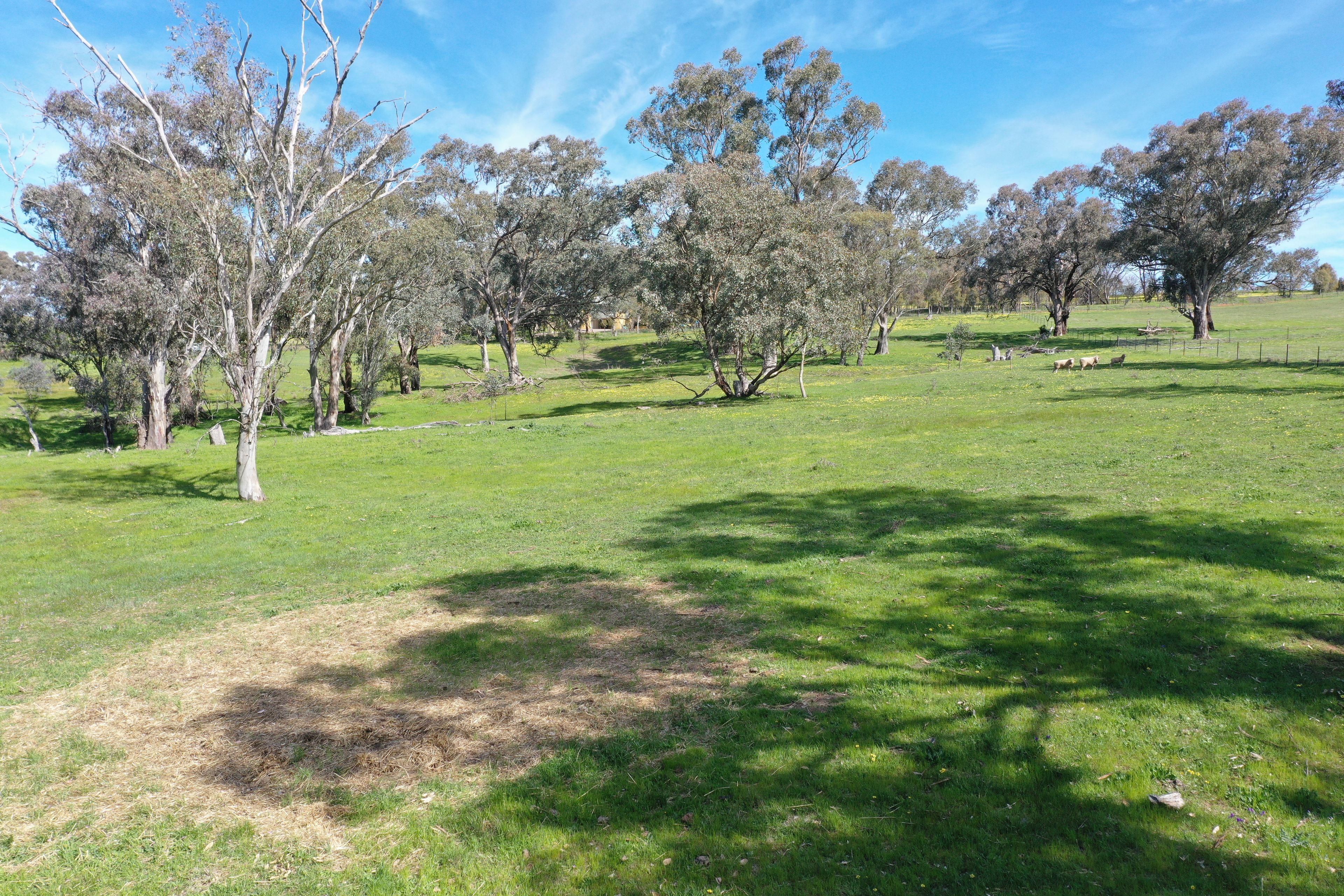 Lot 1992 Wickham/James Lane, Young, NSW 2594