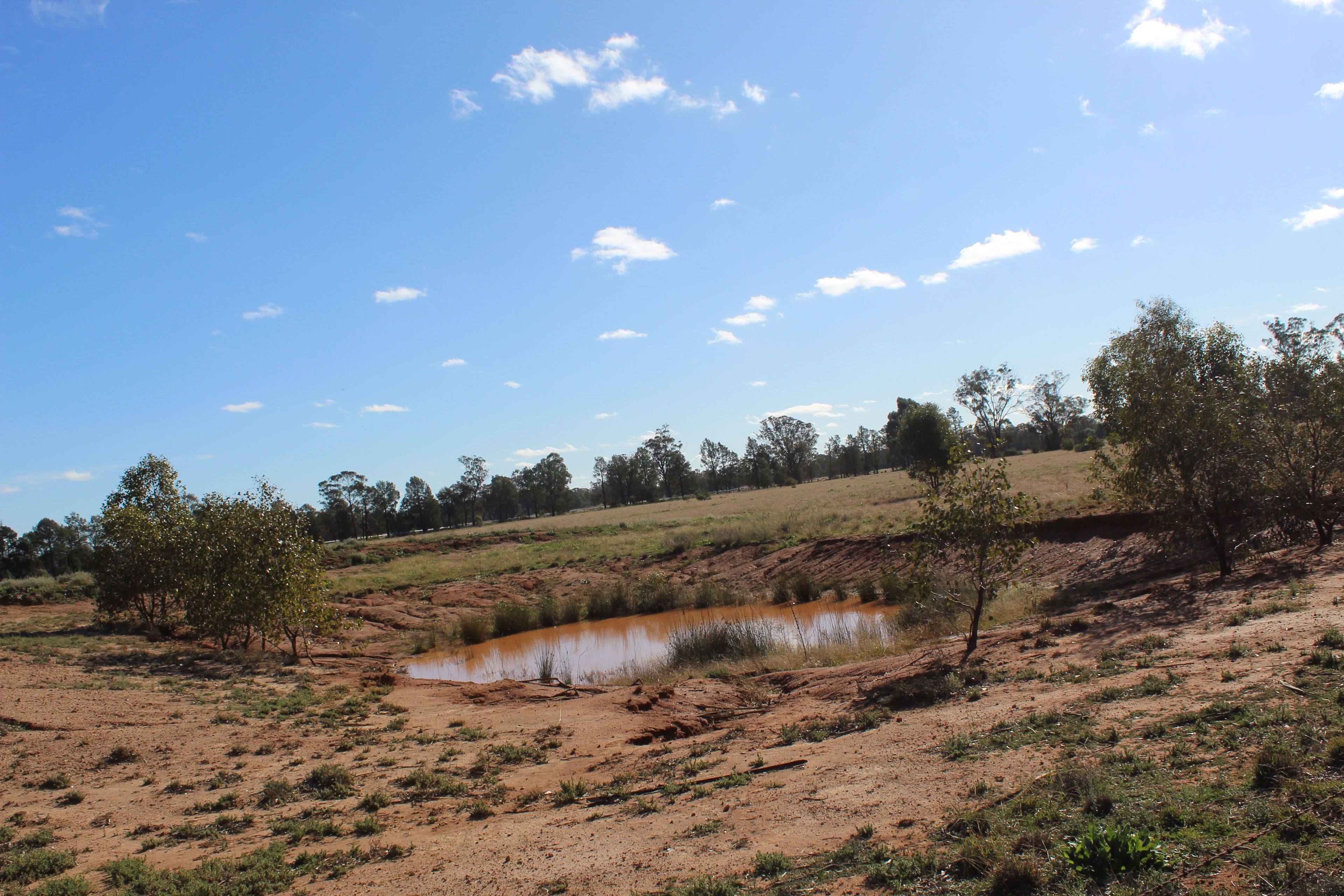 130 Tomingley Cemetery Road, Tomingley, NSW 2869