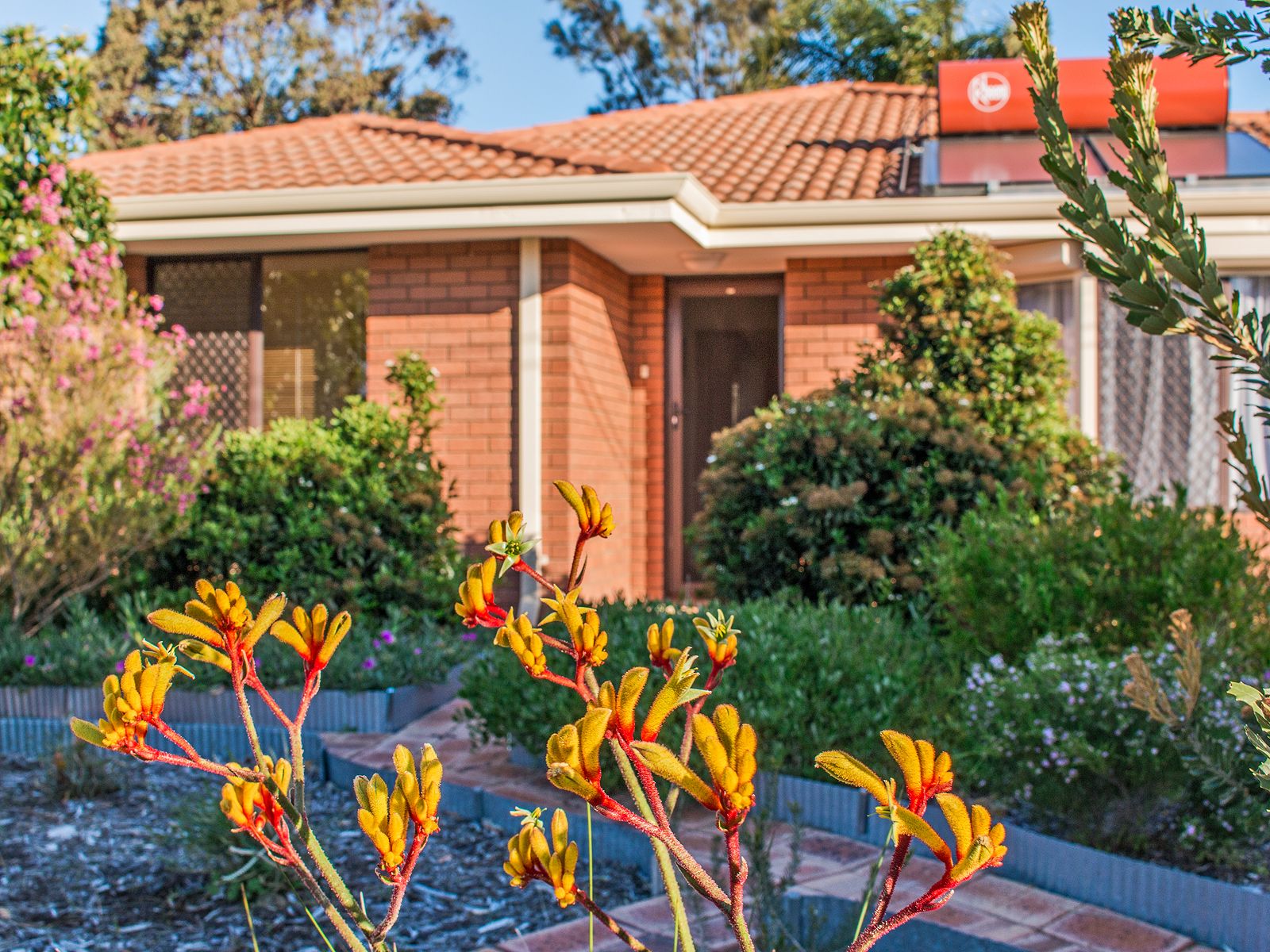 21a Norring Street, Cooloongup, WA 6168