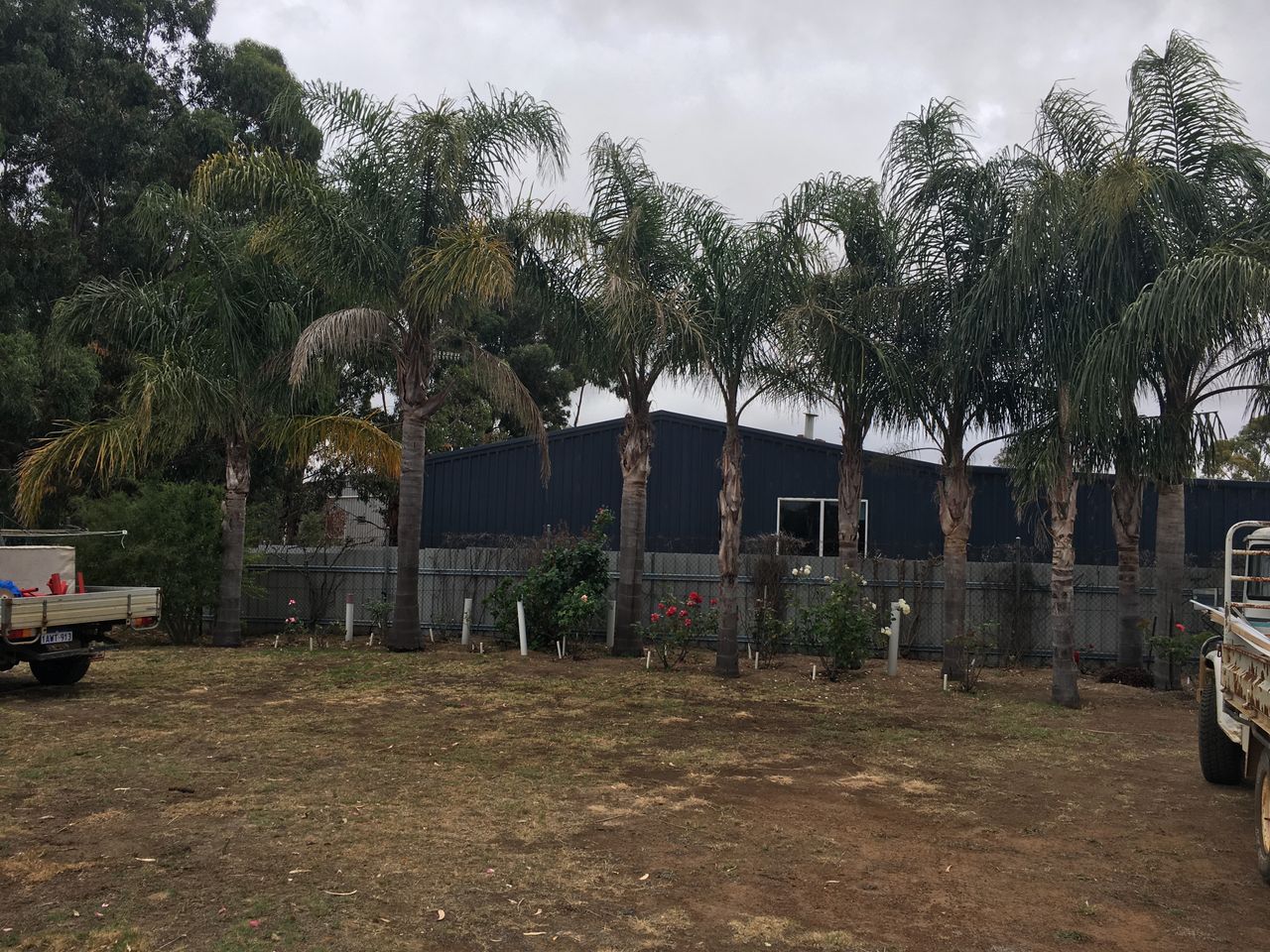 Commercial for sale in Jerramungup, Munglinup, Ravensthorpe and nearby