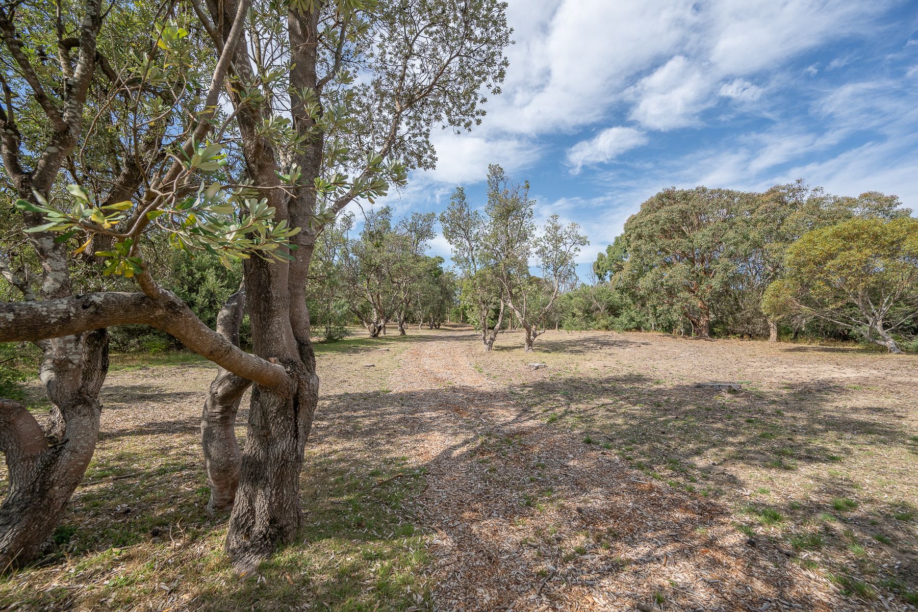 811 Lees Road — photo 4 of 16