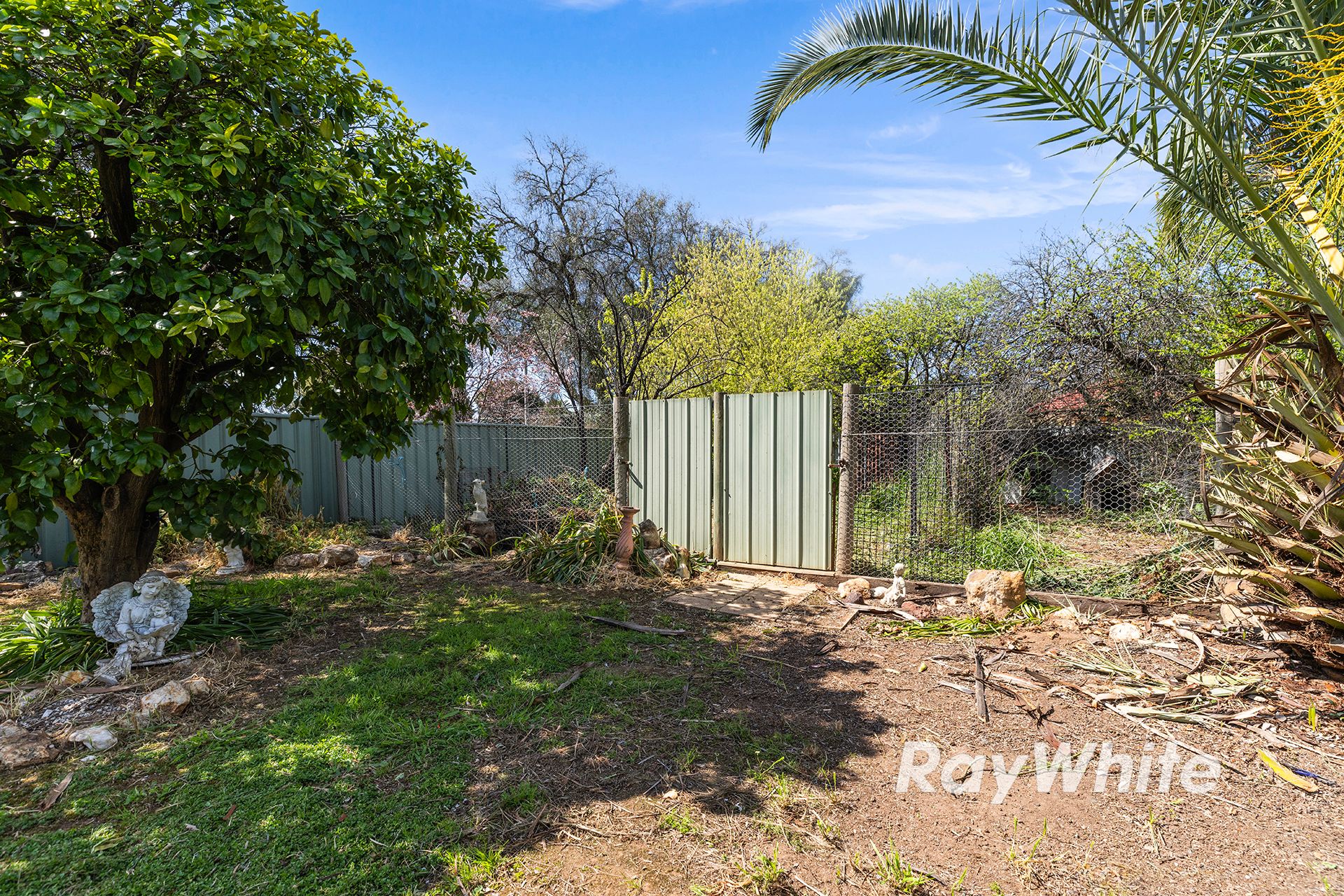 74 Hervey Street — photo 17 of 21