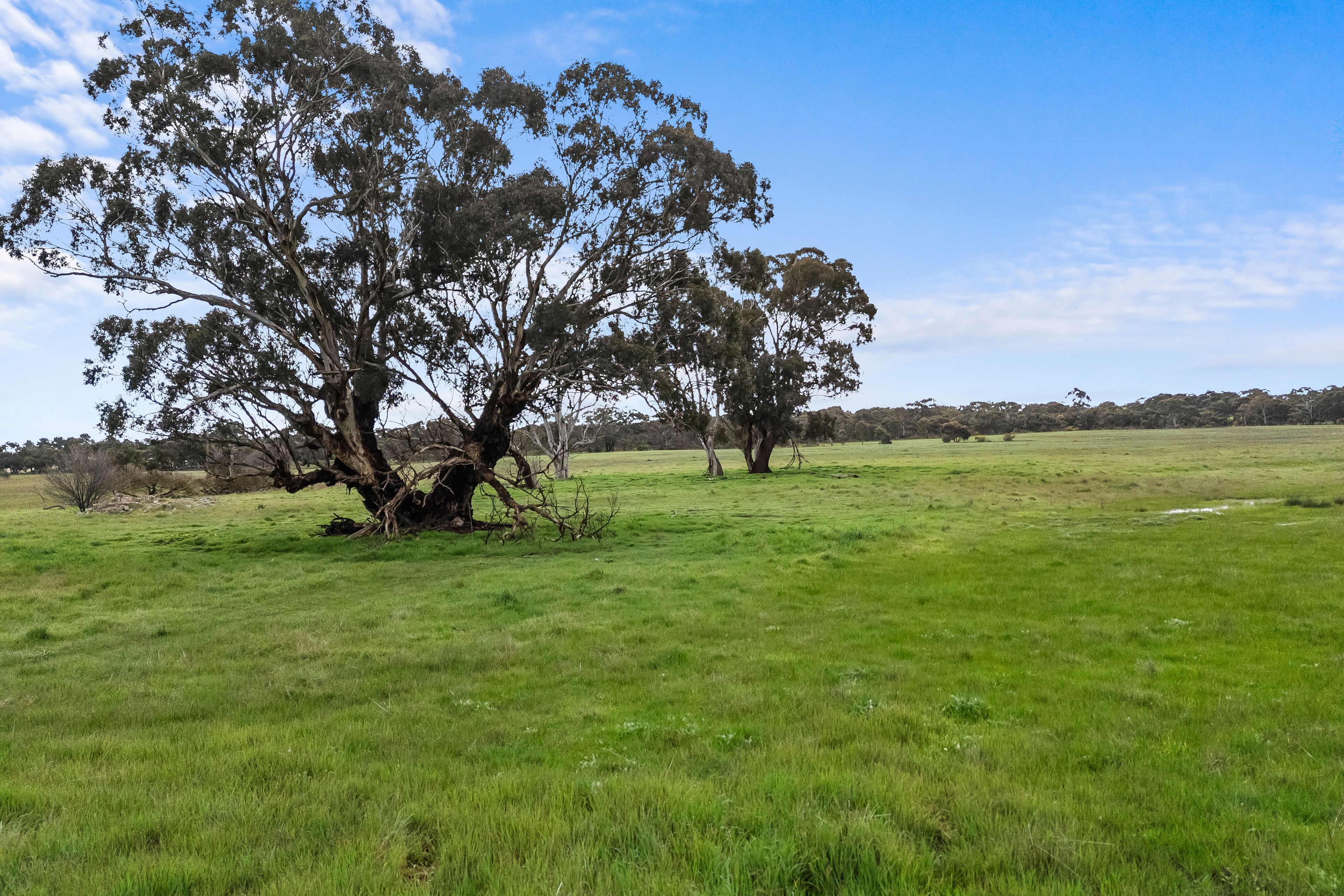 Lots 1-4 & 6-10 Ararat Road — photo 8 of 11