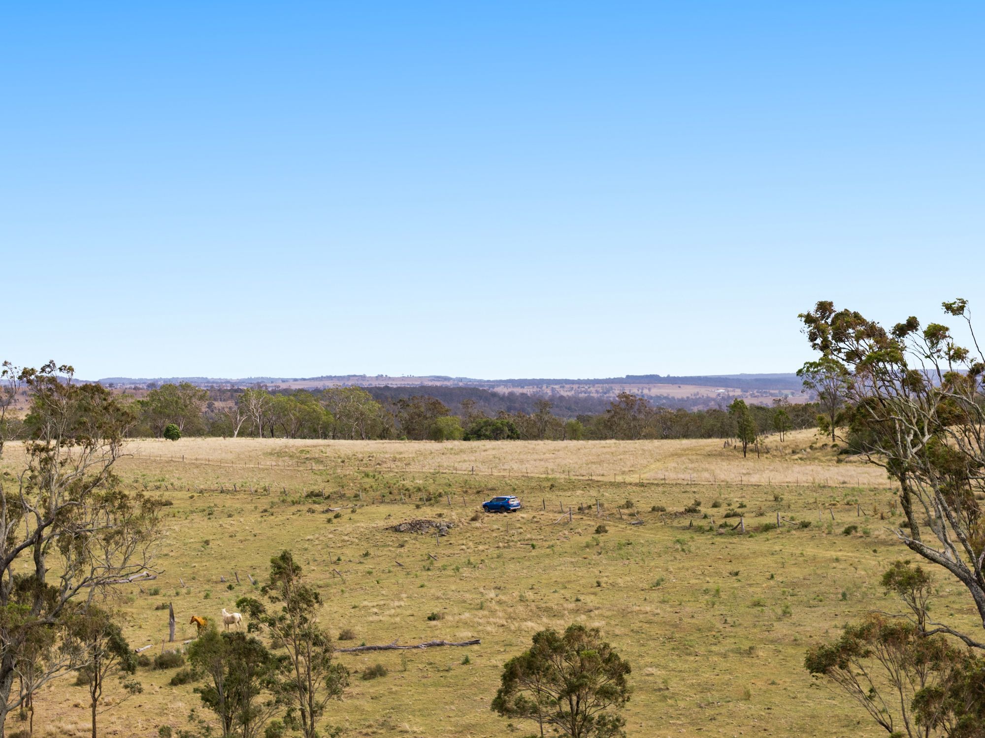 "Cooby Crest" 101 Pipeline Road — photo 11 of 19