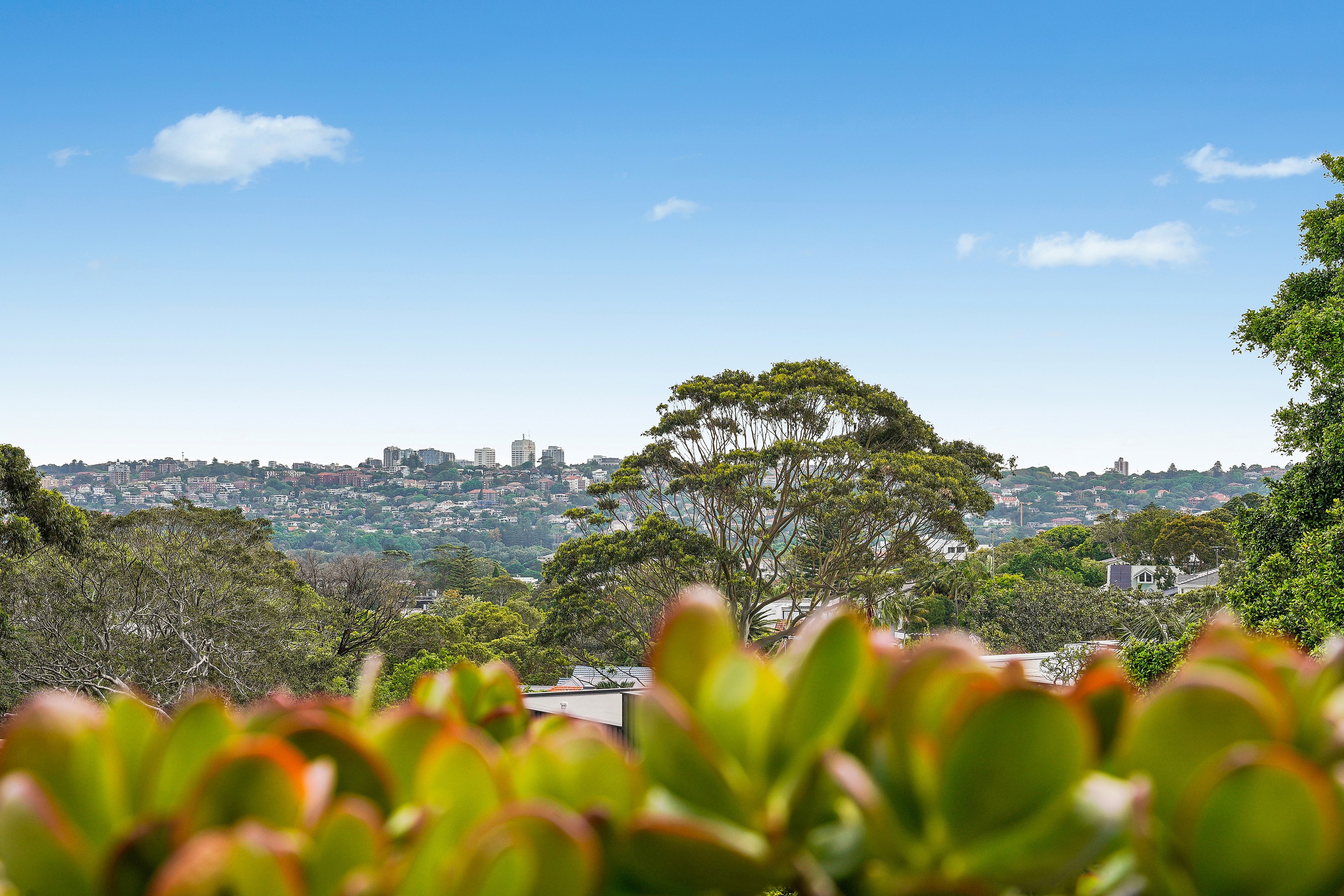 3/694-696 Old South Head Road, Rose Bay, NSW 2029