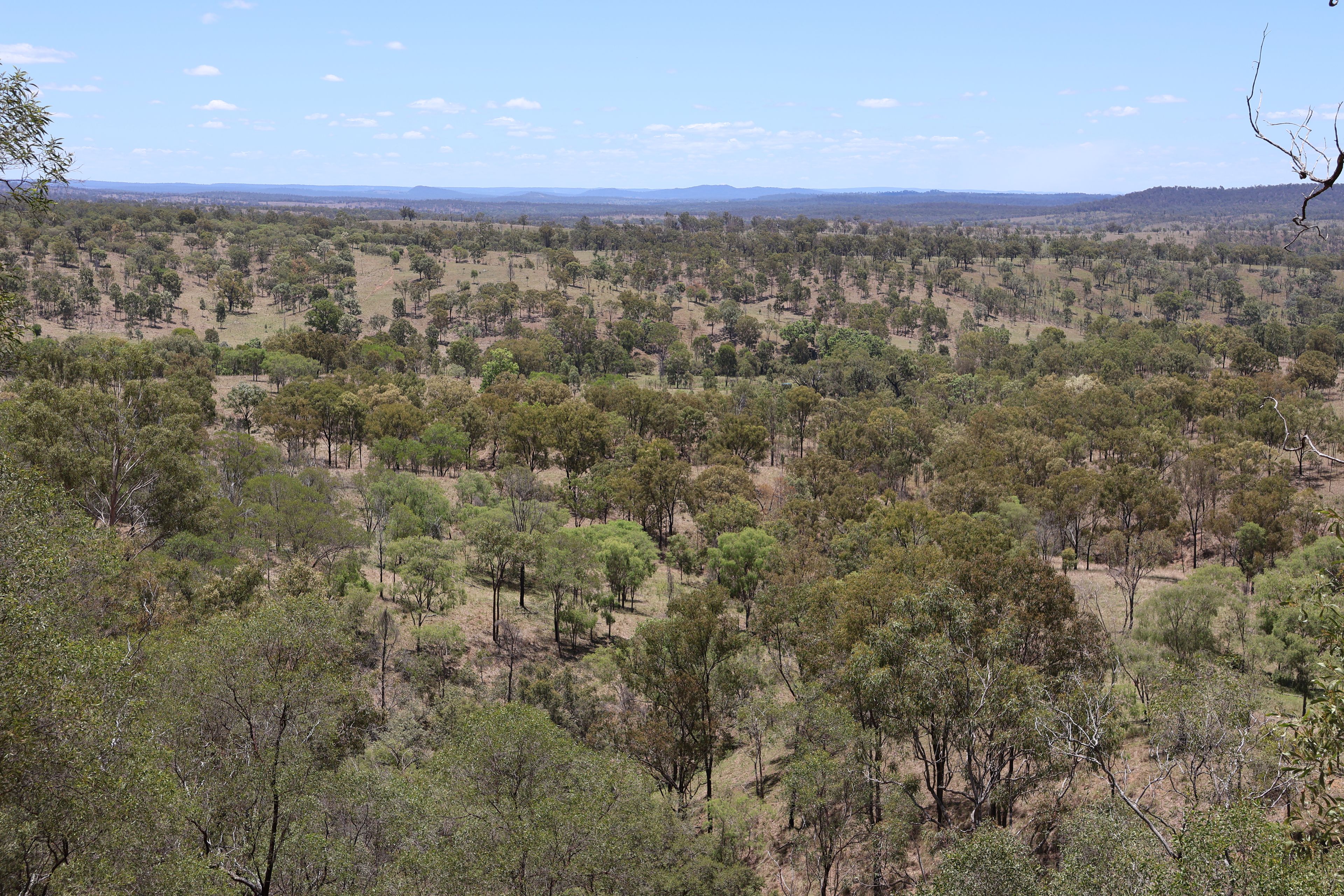 Lot 33, 34 & 35 Bilboolan Road, Mungy — photo 13 of 18