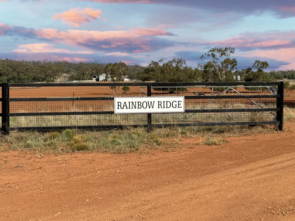 2823 Hermidale Nymagee Road, Hermidale, NSW 2831