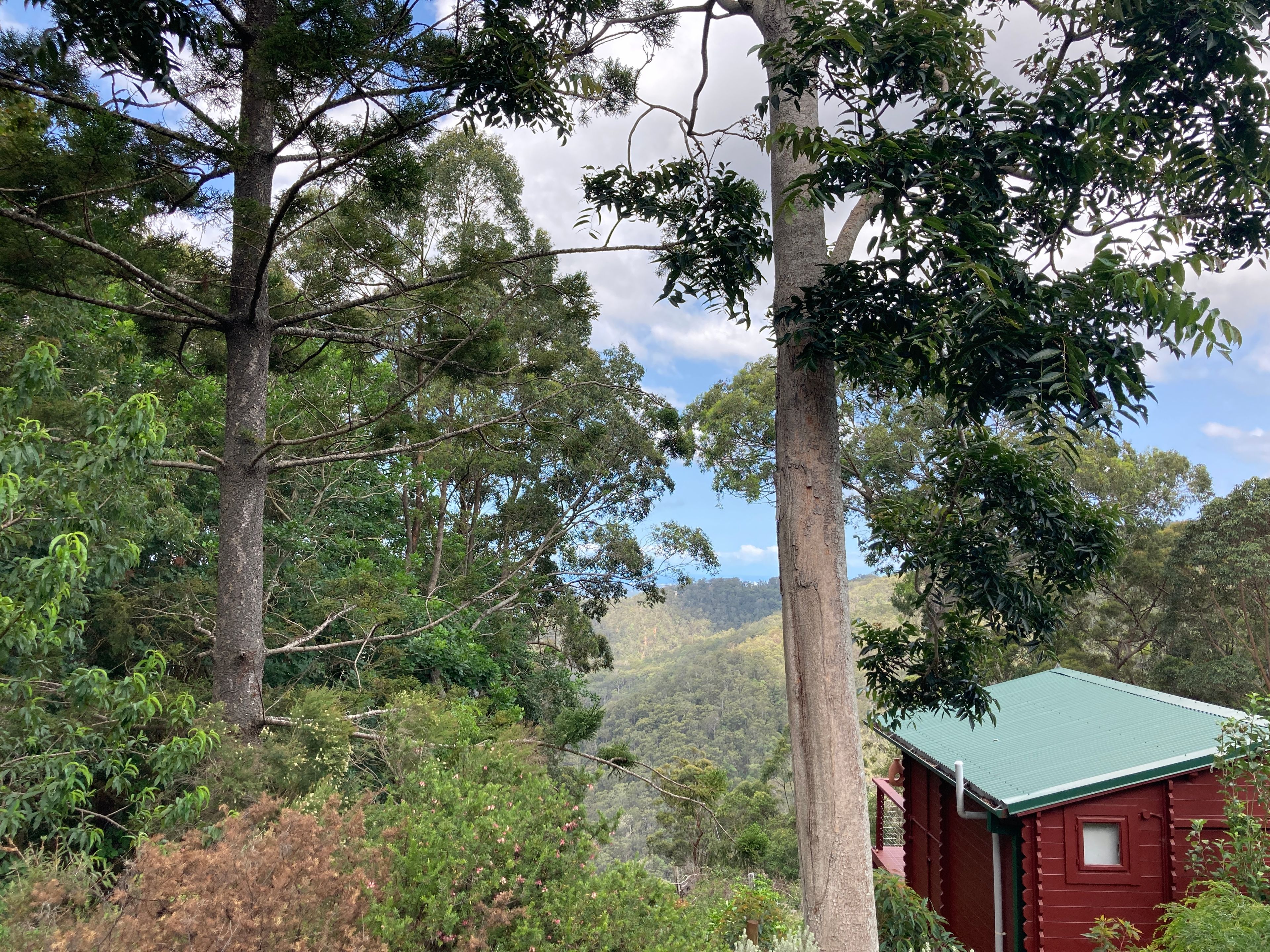 44 Justin Avenue, Tamborine Mountain, QLD 4272