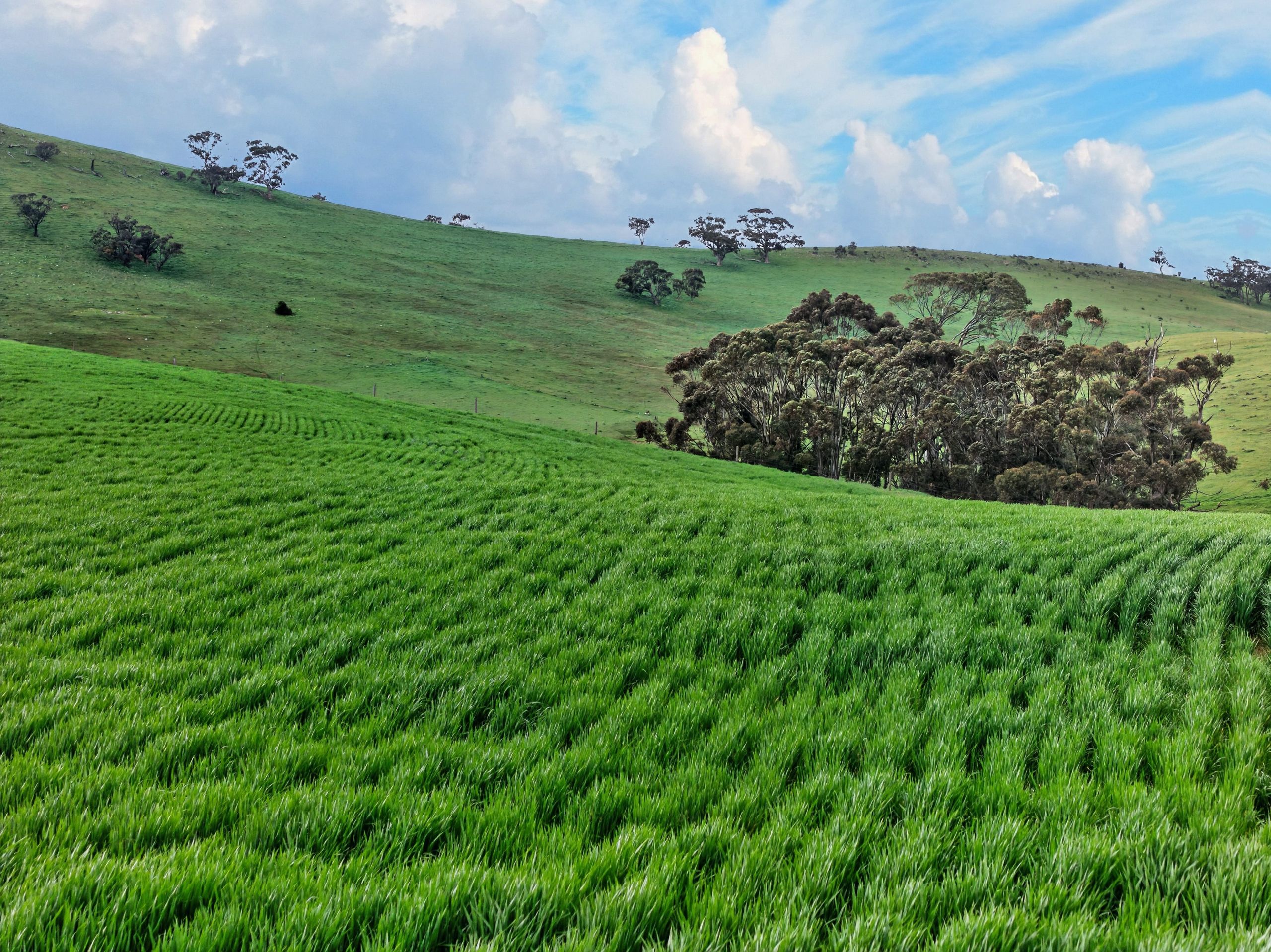 'Schumachers Range' Weichert Road — photo 4 of 11