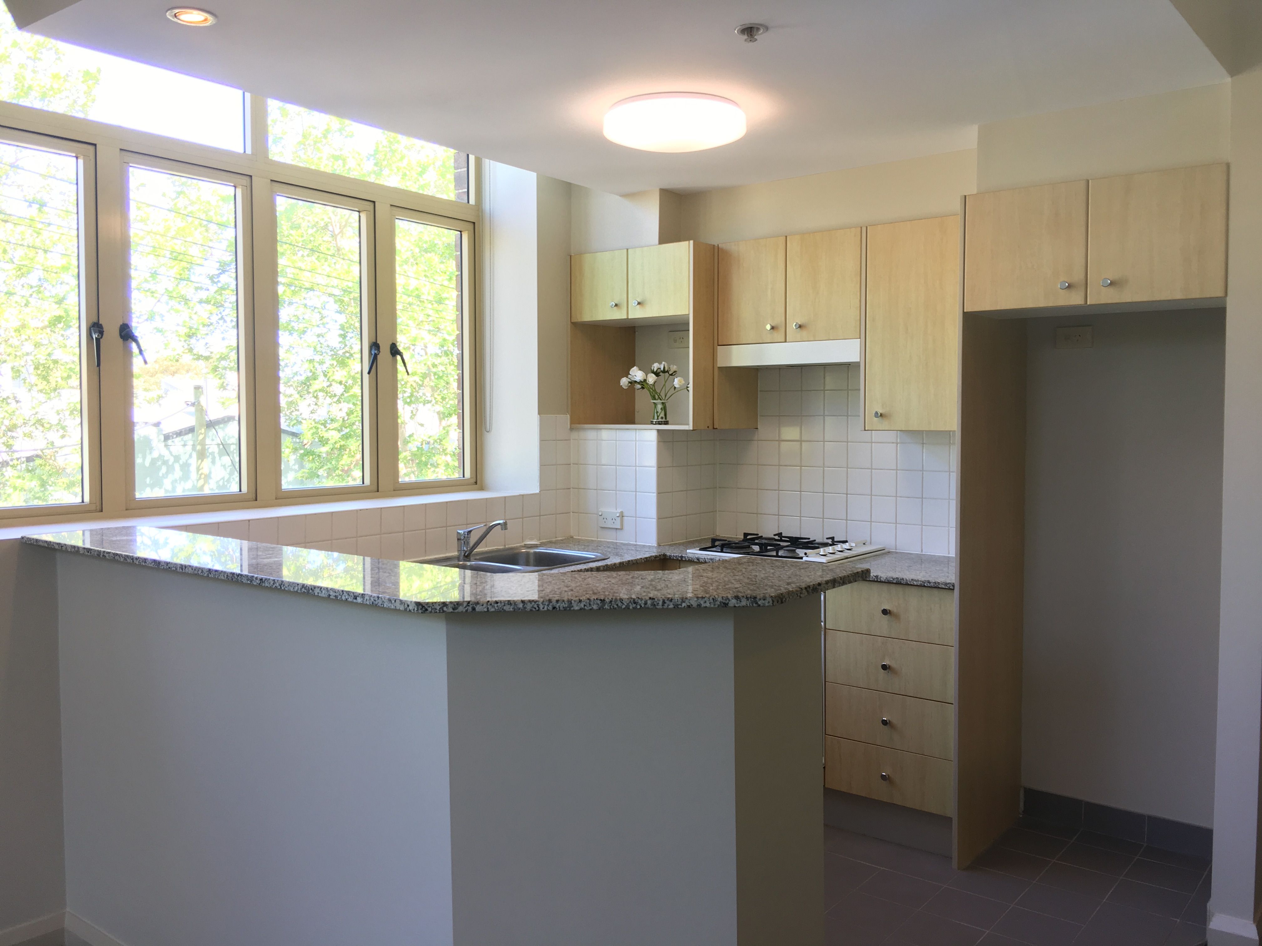 11/48 Nelson Street, Annandale, NSW 2038