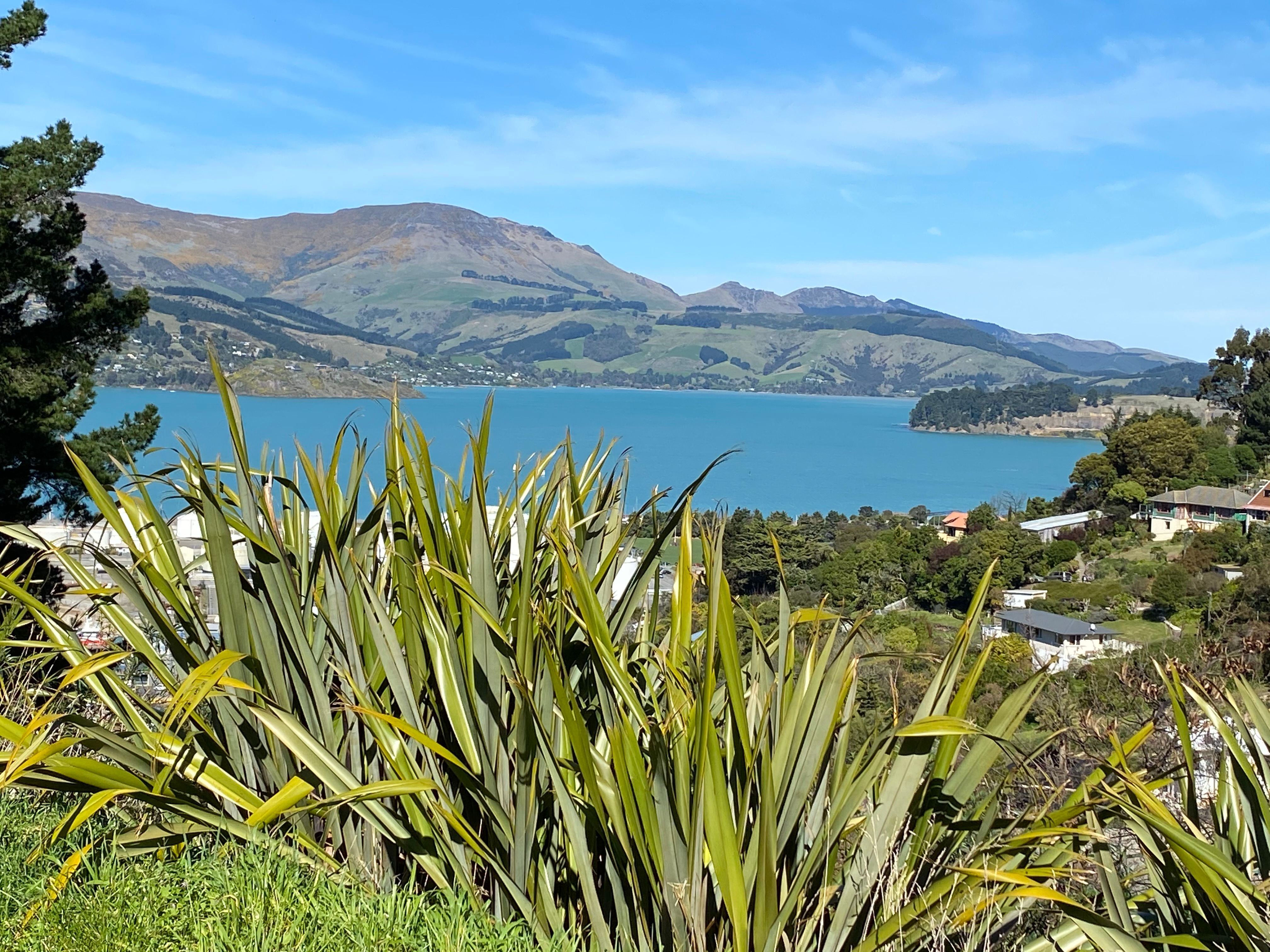 11 Harmans Road, Lyttelton, Christchurch City