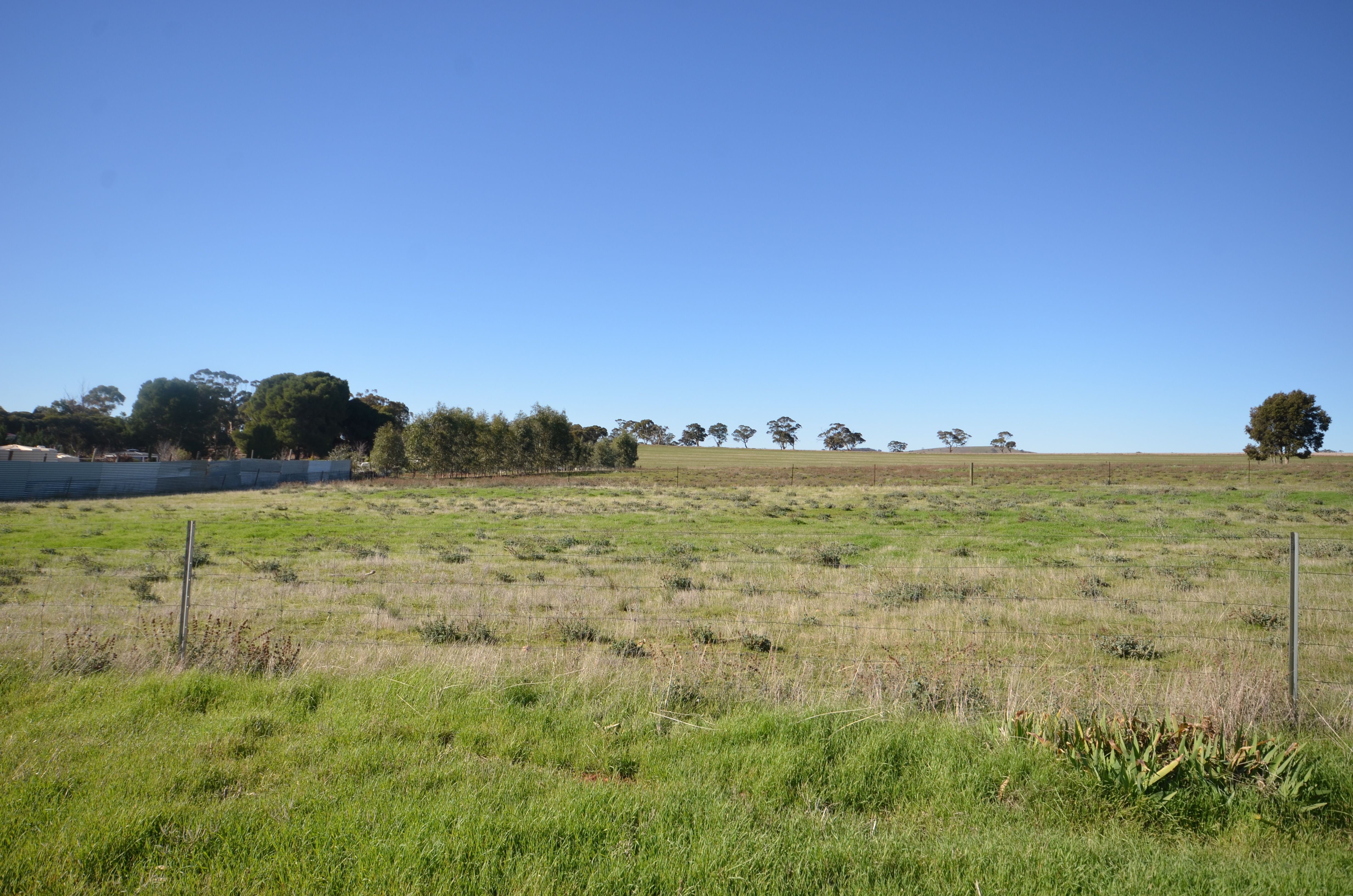 Lot 4 Globe Street, Auburn, SA 5451