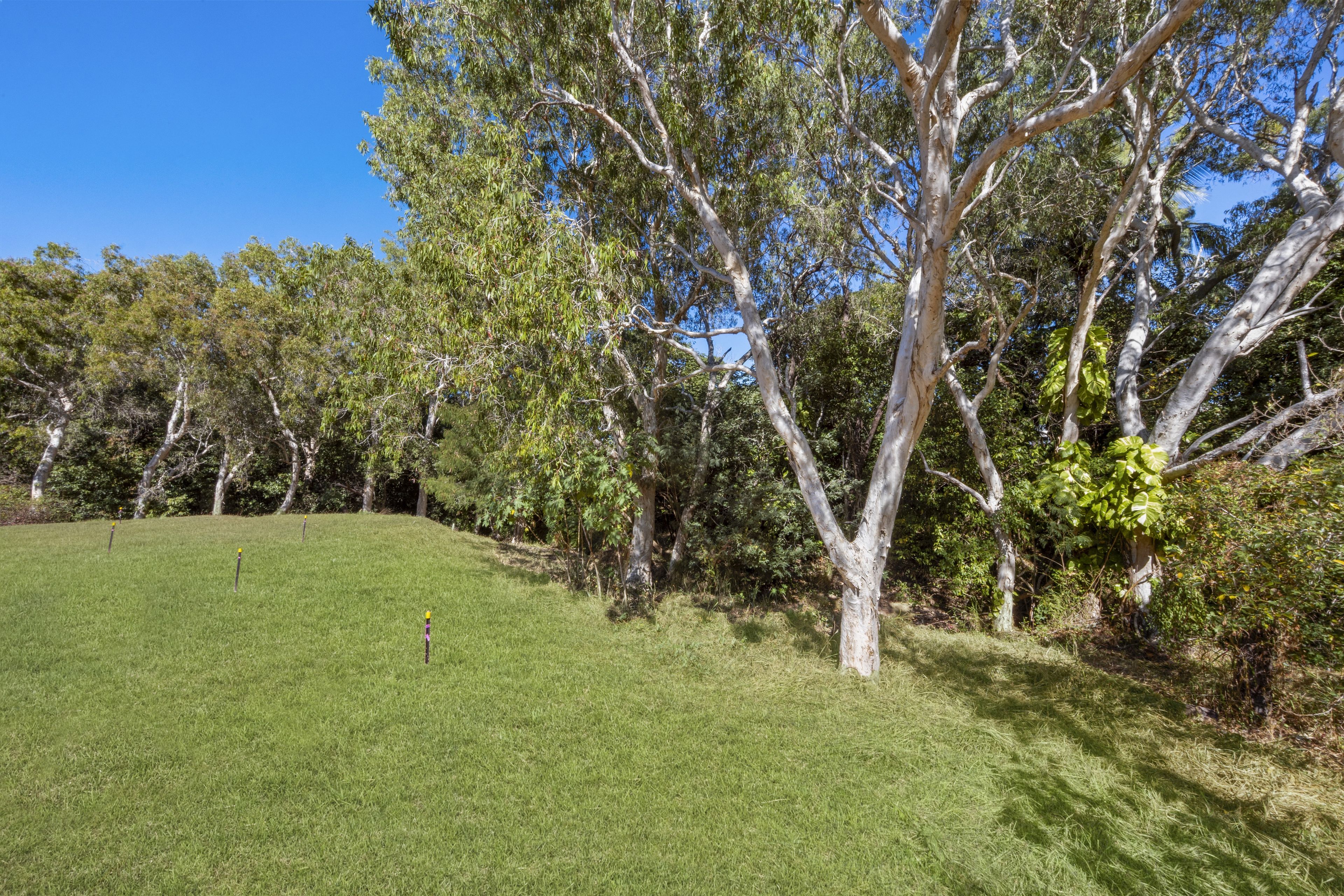 30-32 Birt Street — photo 7 of 12