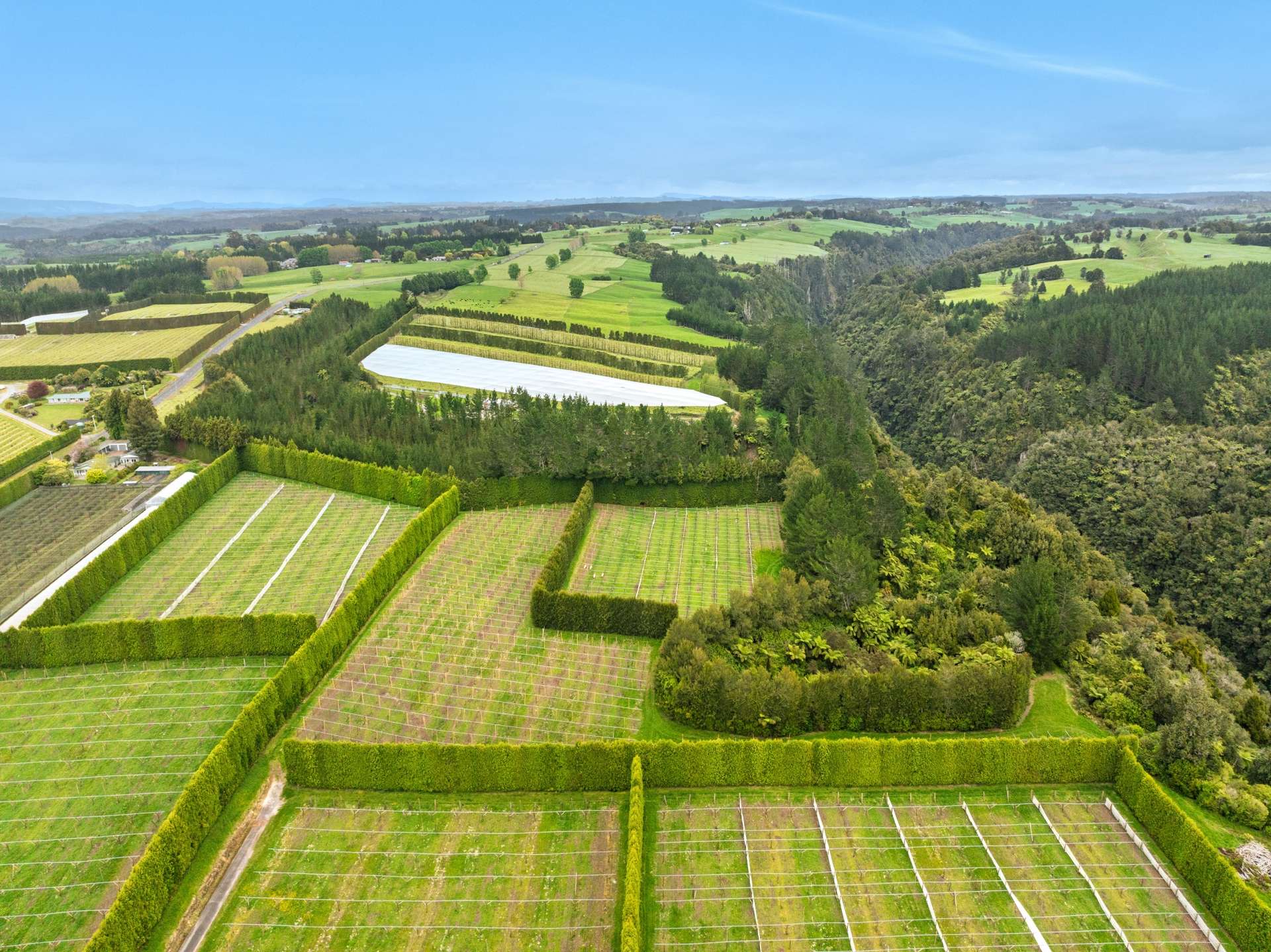 1010 Te Matai Road photo 19