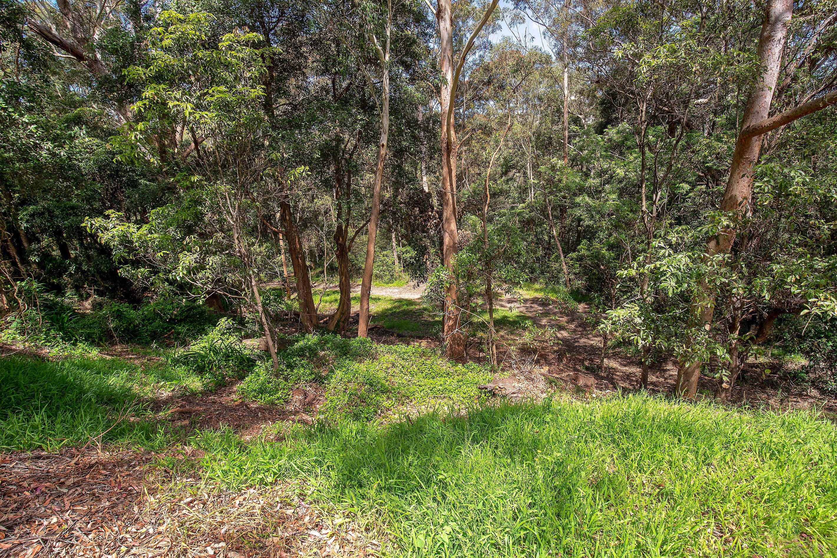 77 Mount Pleasant Avenue, Normanhurst, NSW 2076