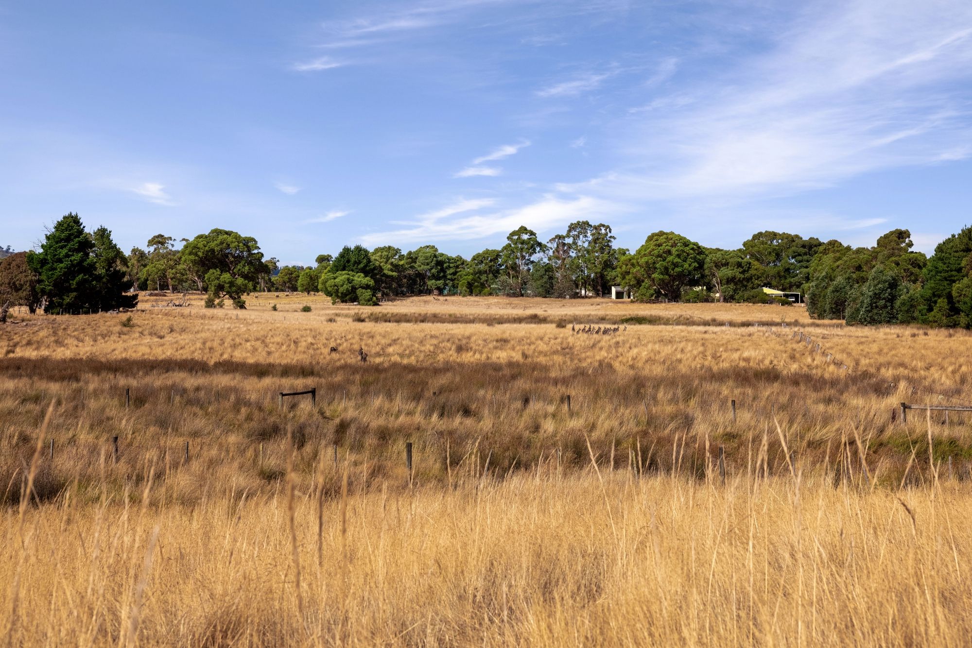 Lot 8 Lancefield Tooborac Road, Lancefield, VIC 3435 Land for Sale