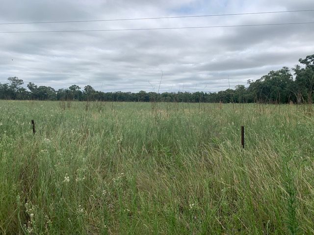 60 BARADINE AERODROME Road, Baradine, NSW 2396 Sold Rural Lifestyle Property Ray White Rural