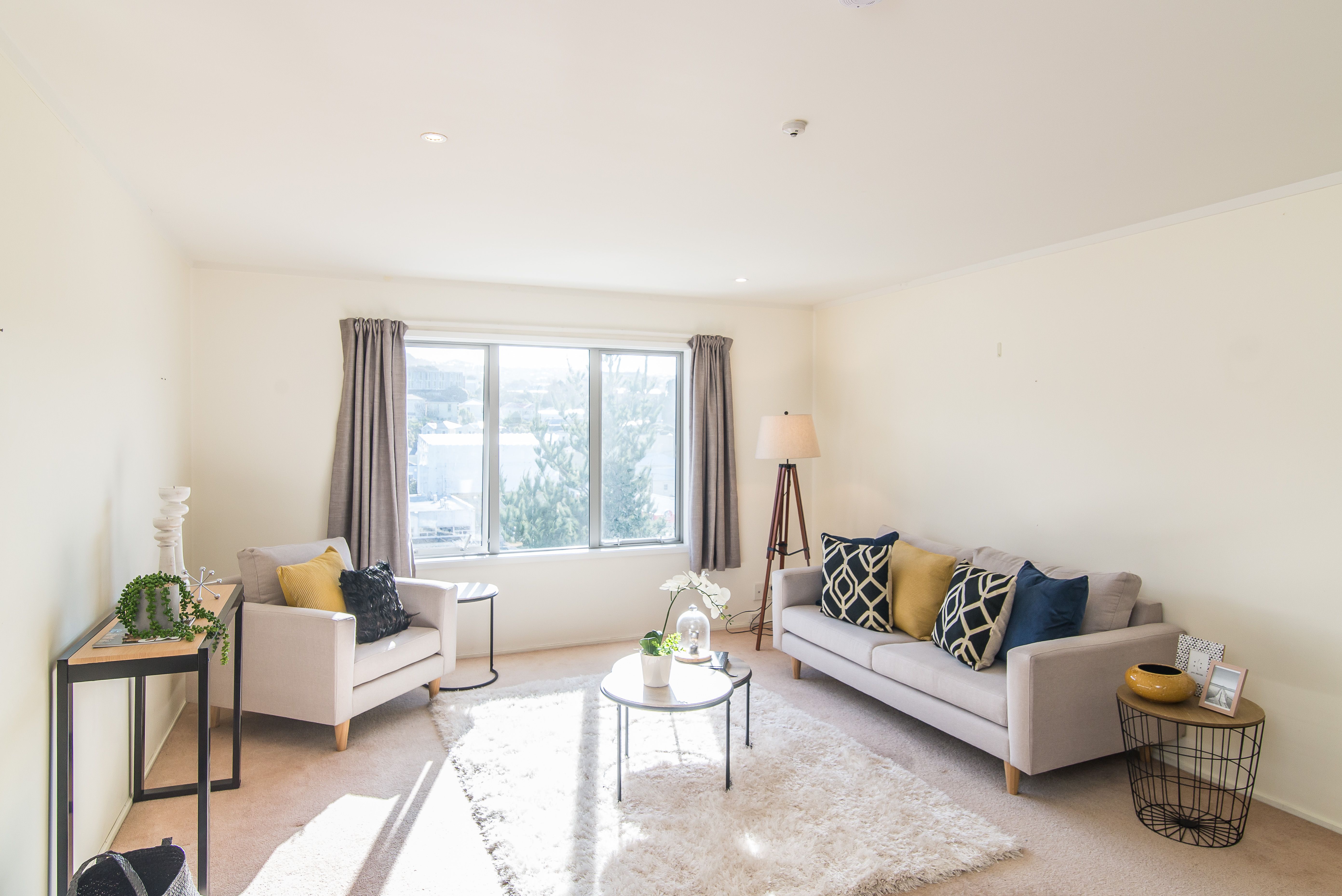 11/6 Brown Street, Mount Cook, Wellington City