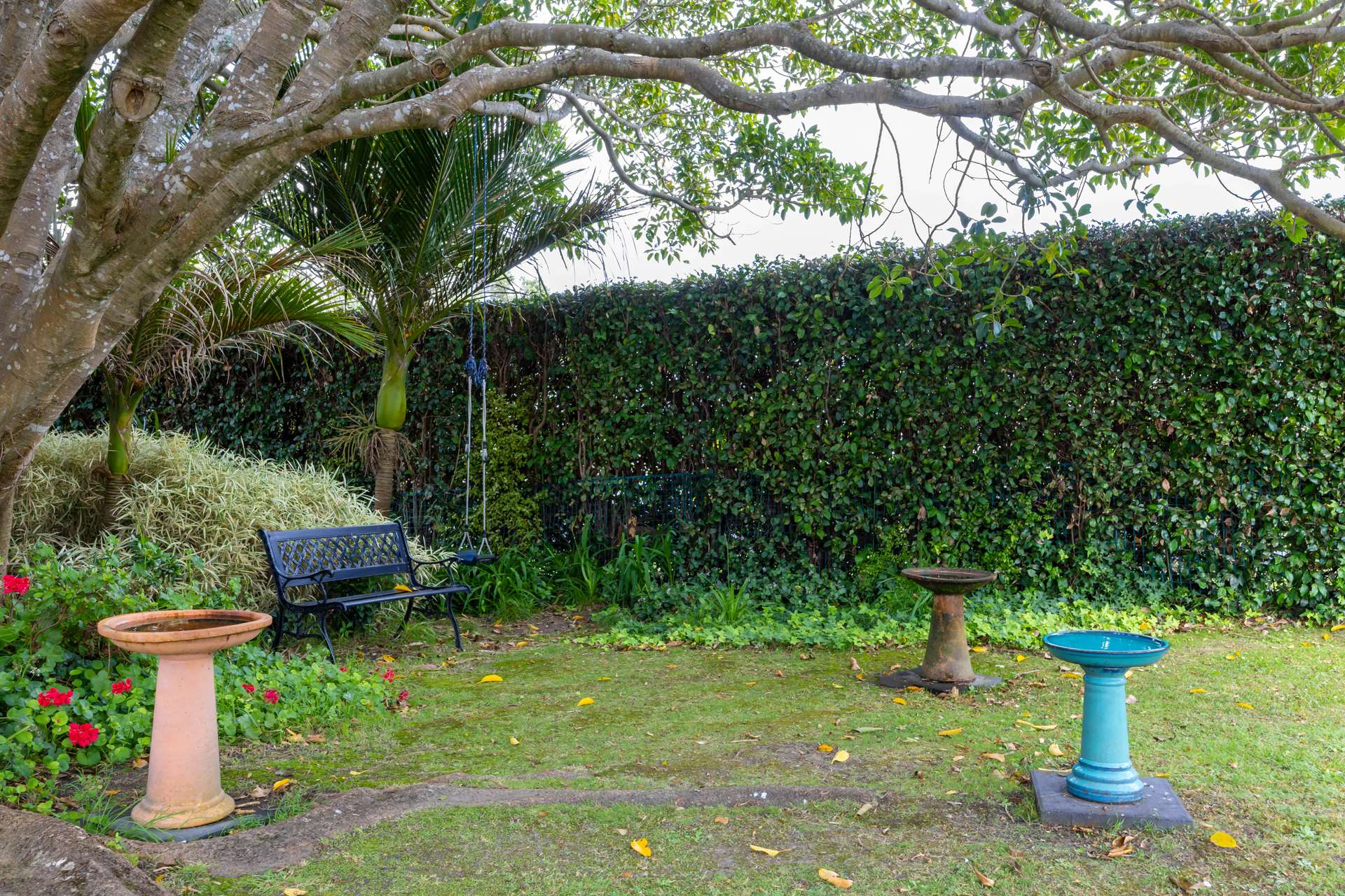 29A Rawhiti Road photo 36