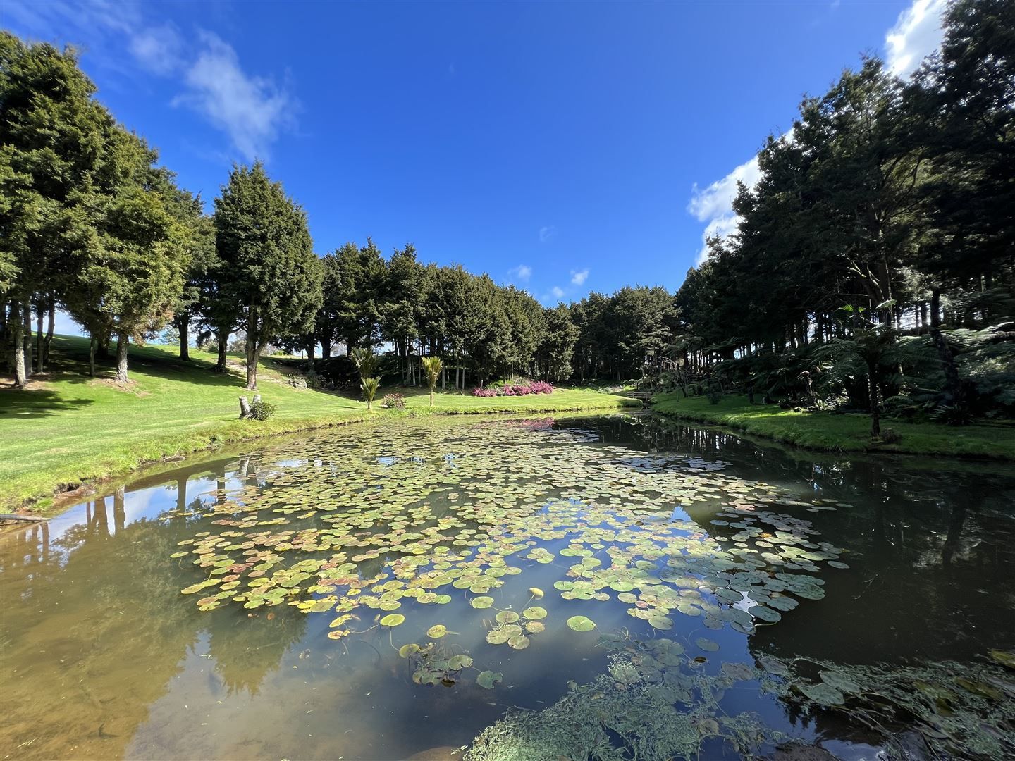 Lot 4 Amsharlo Drive, Kerikeri, Far North District