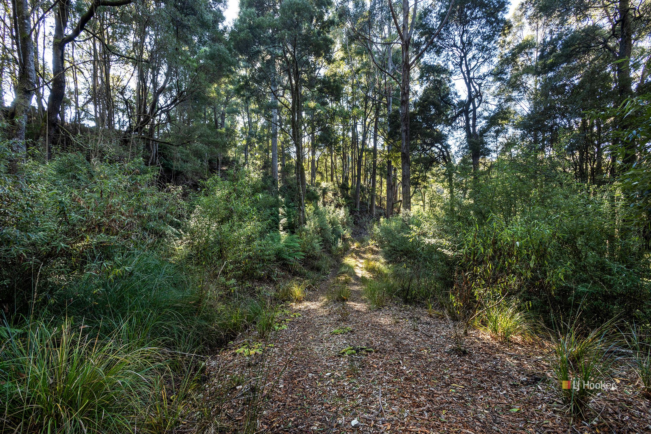 Pages Road — photo 4 of 4