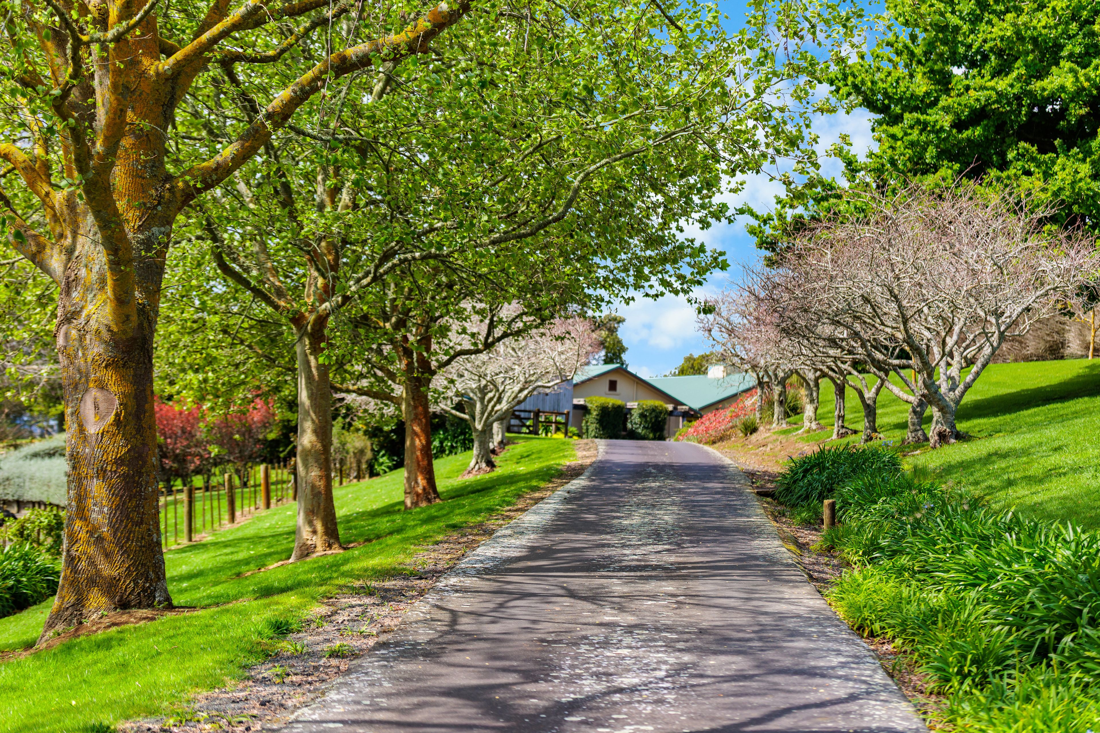 44 Arana Drive, Karaka, Franklin