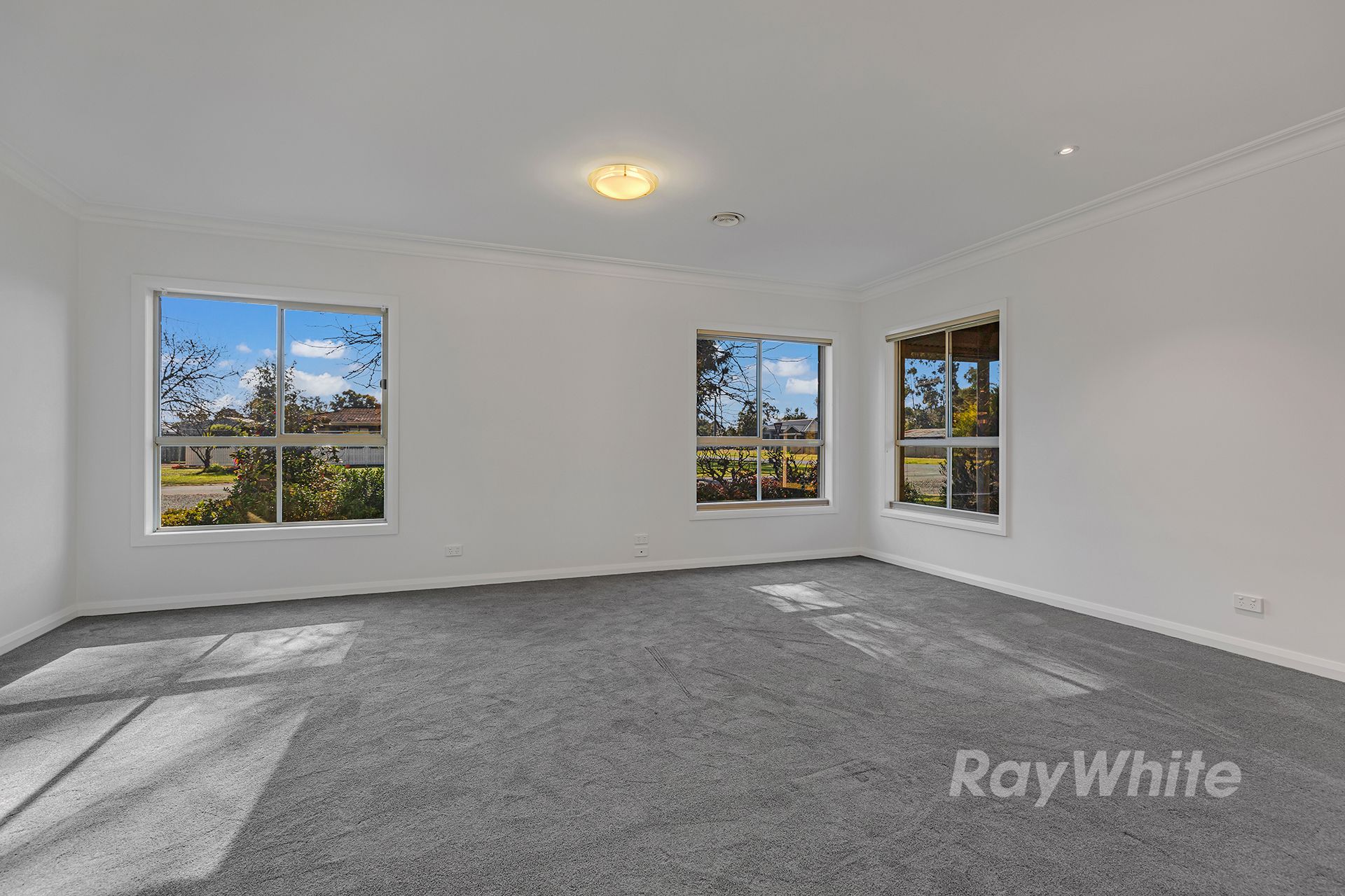 50 Francis Street — photo 15 of 27