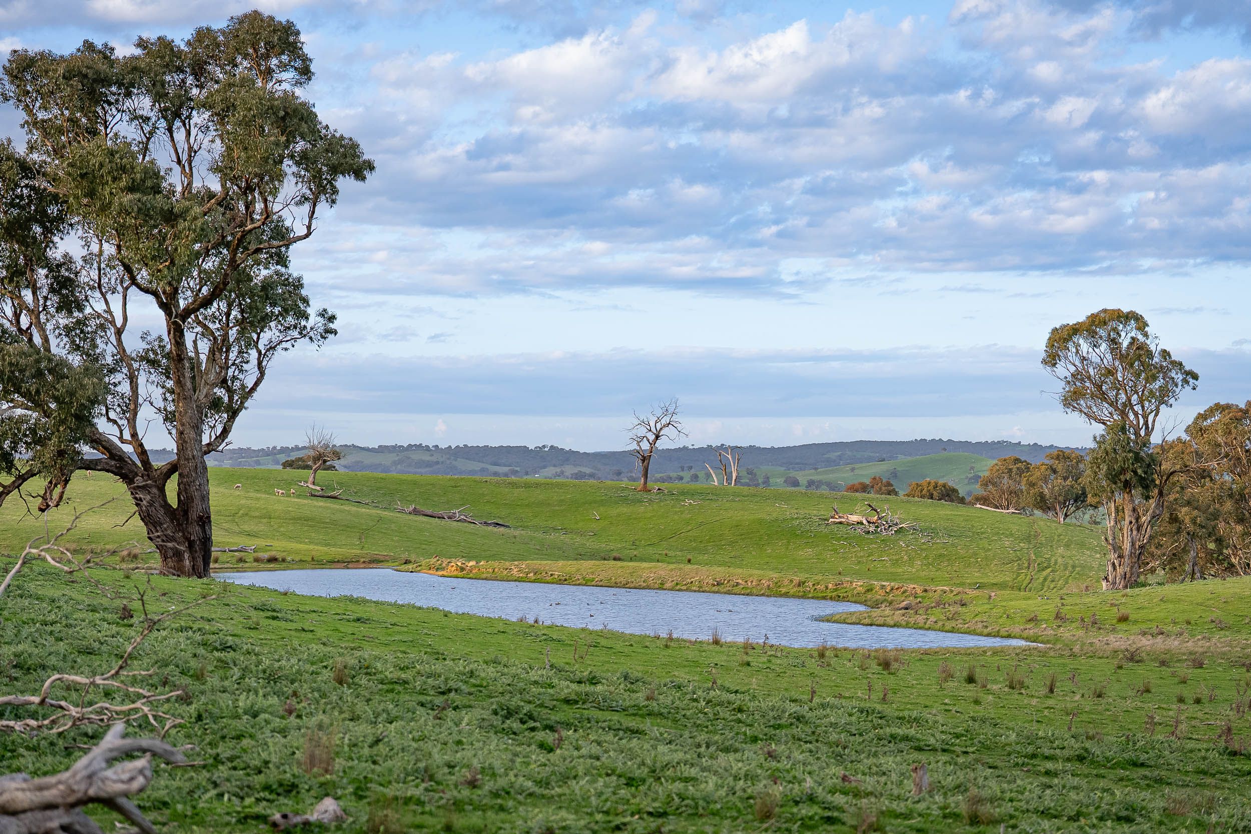680 Fish River Road NARRAWA VIA — photo 14 of 27