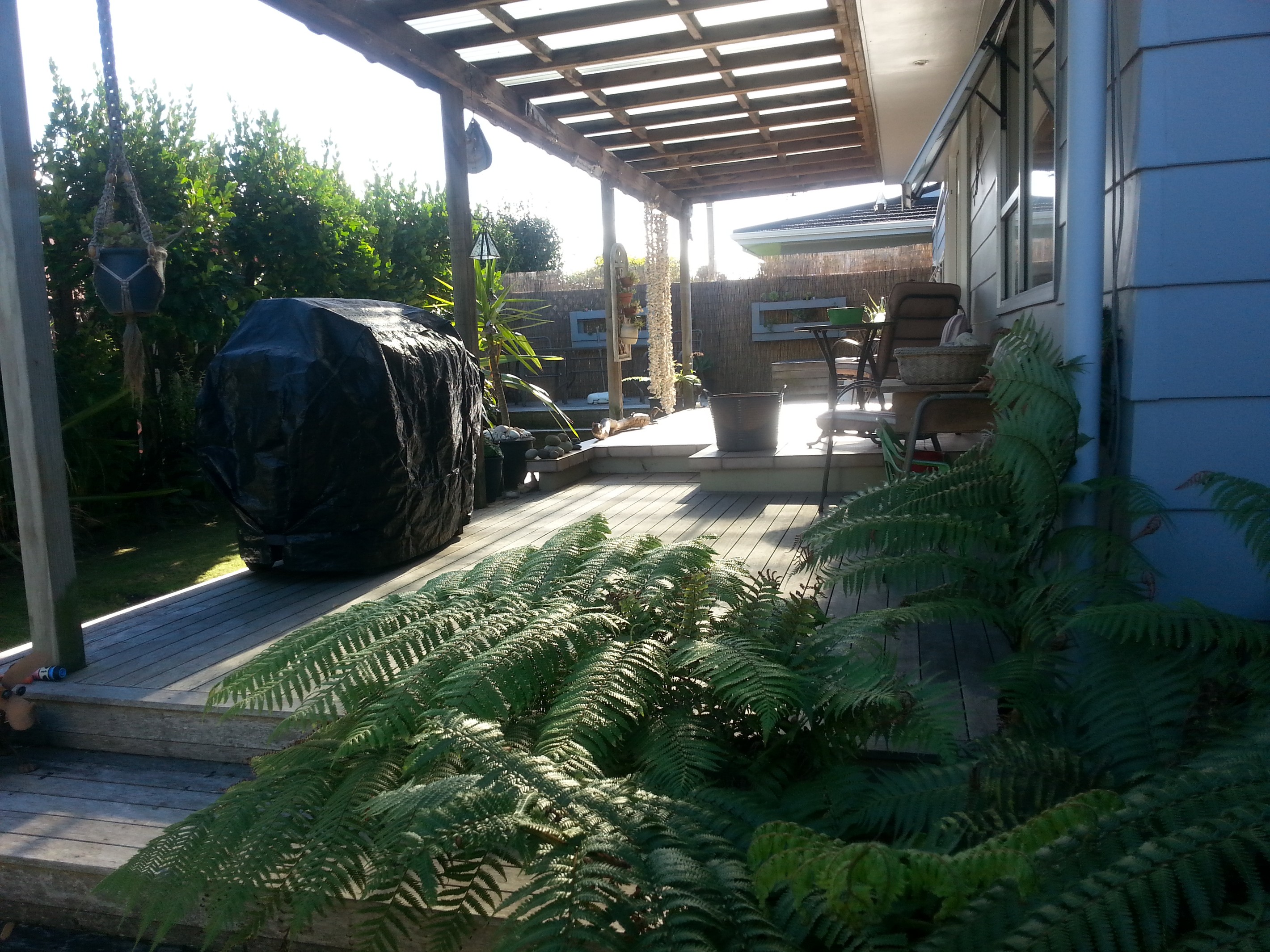 12B Paterson Street, Mt Maunganui, Tauranga City