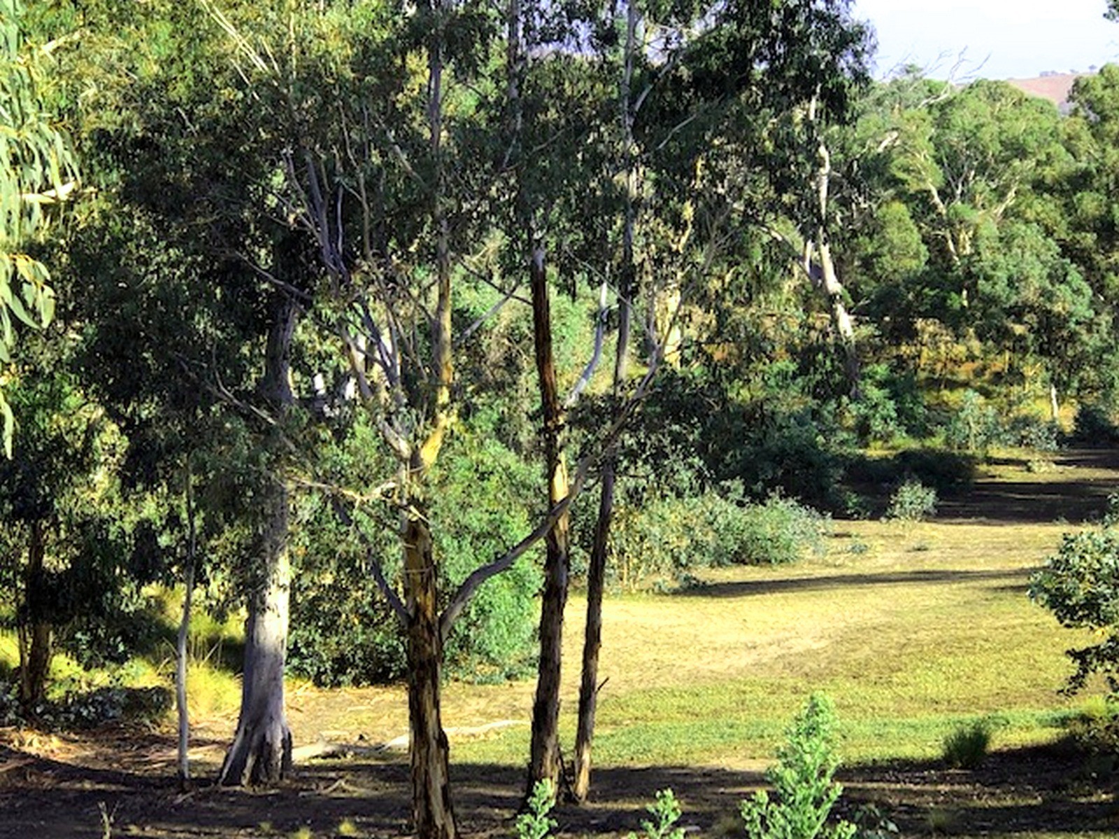 202 Goolabri Drive, Sutton, NSW 2620