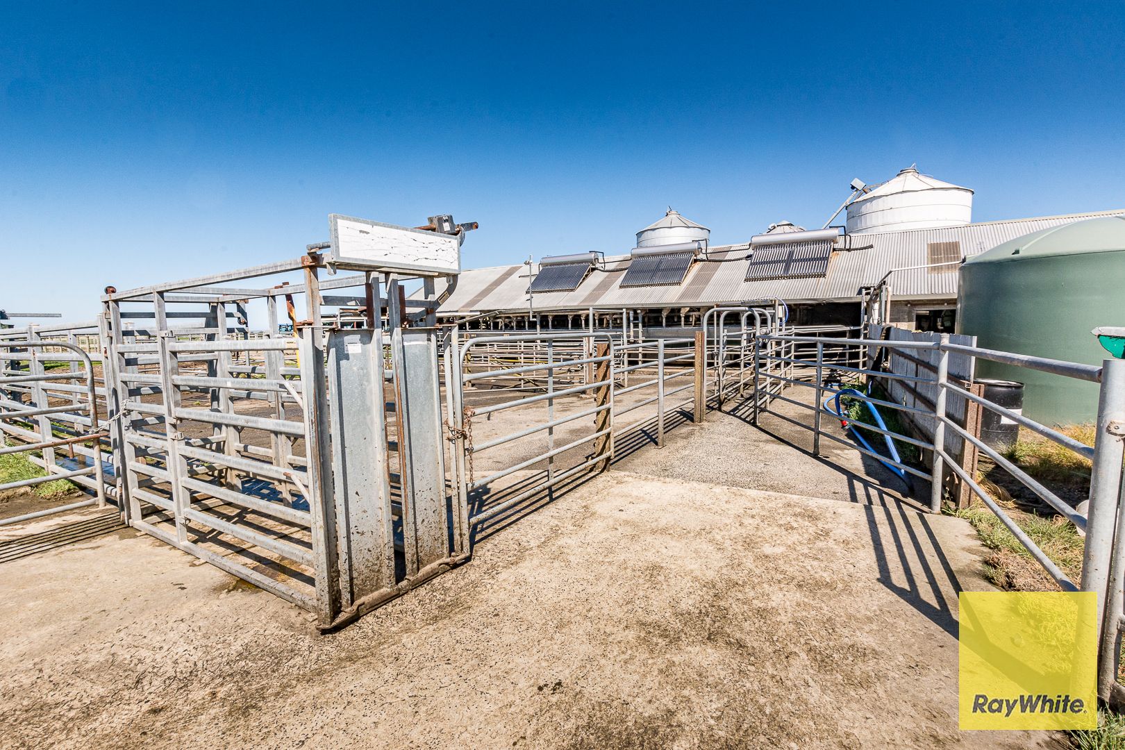 Outstanding Dairy Opportunity — photo 17 of 30