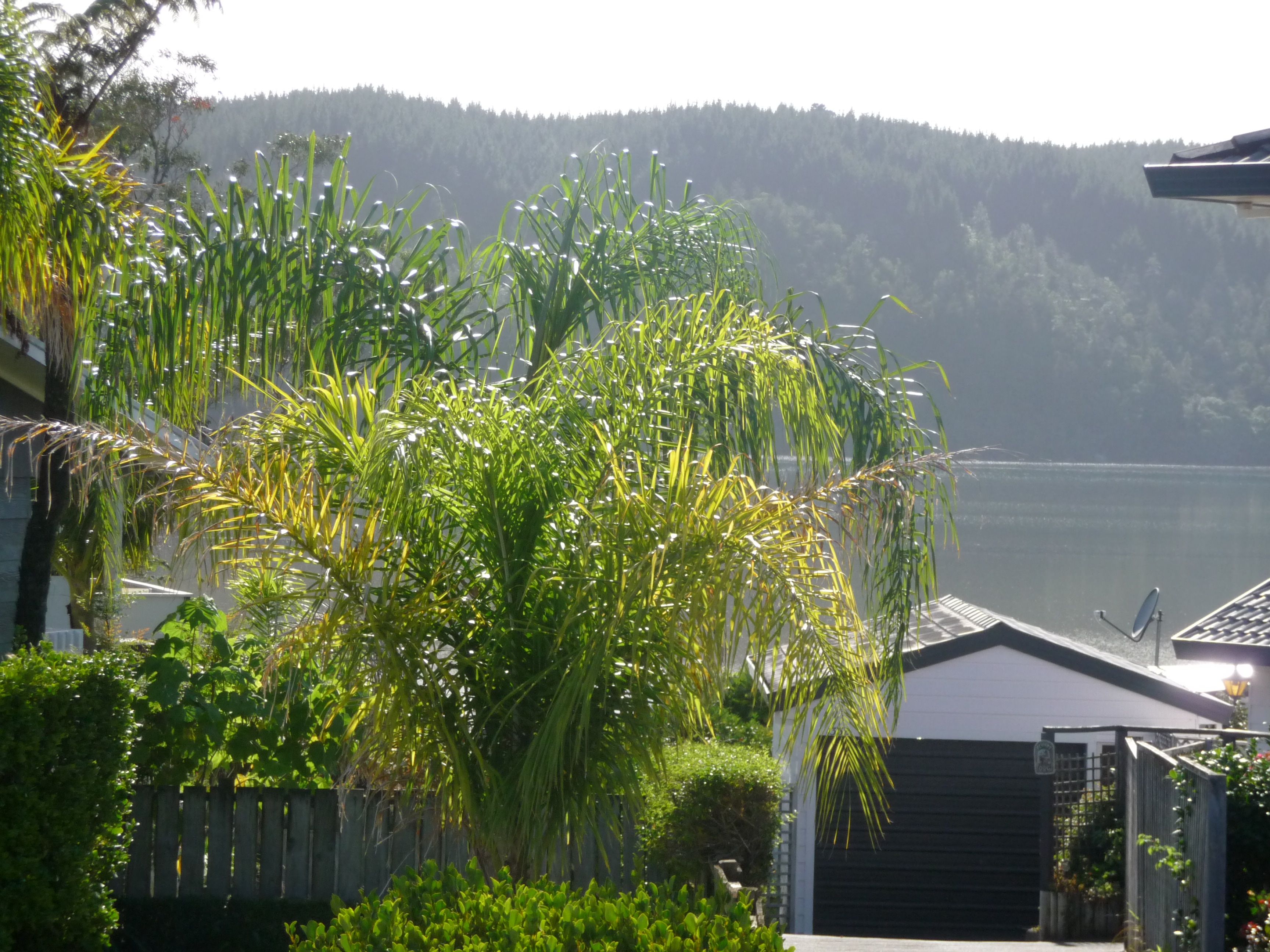 131 Durrant Drive, Whangamata, Thames Coromandel District