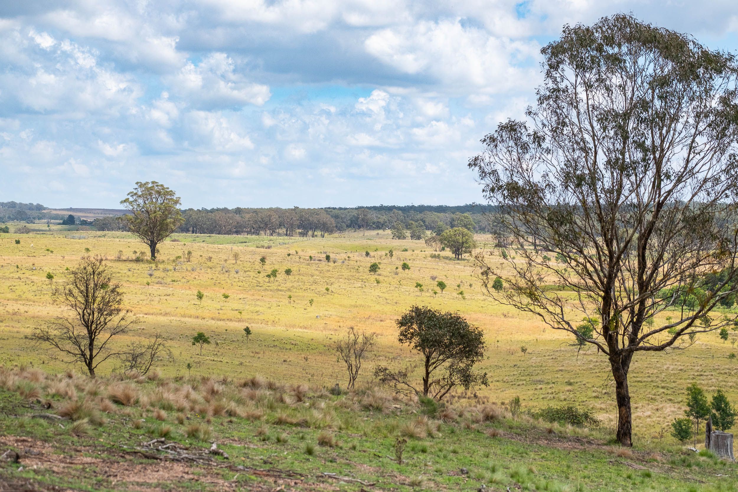 461 Sunninghill Road, Goulburn, NSW 2580 - Sold Rural Lifestyle ...