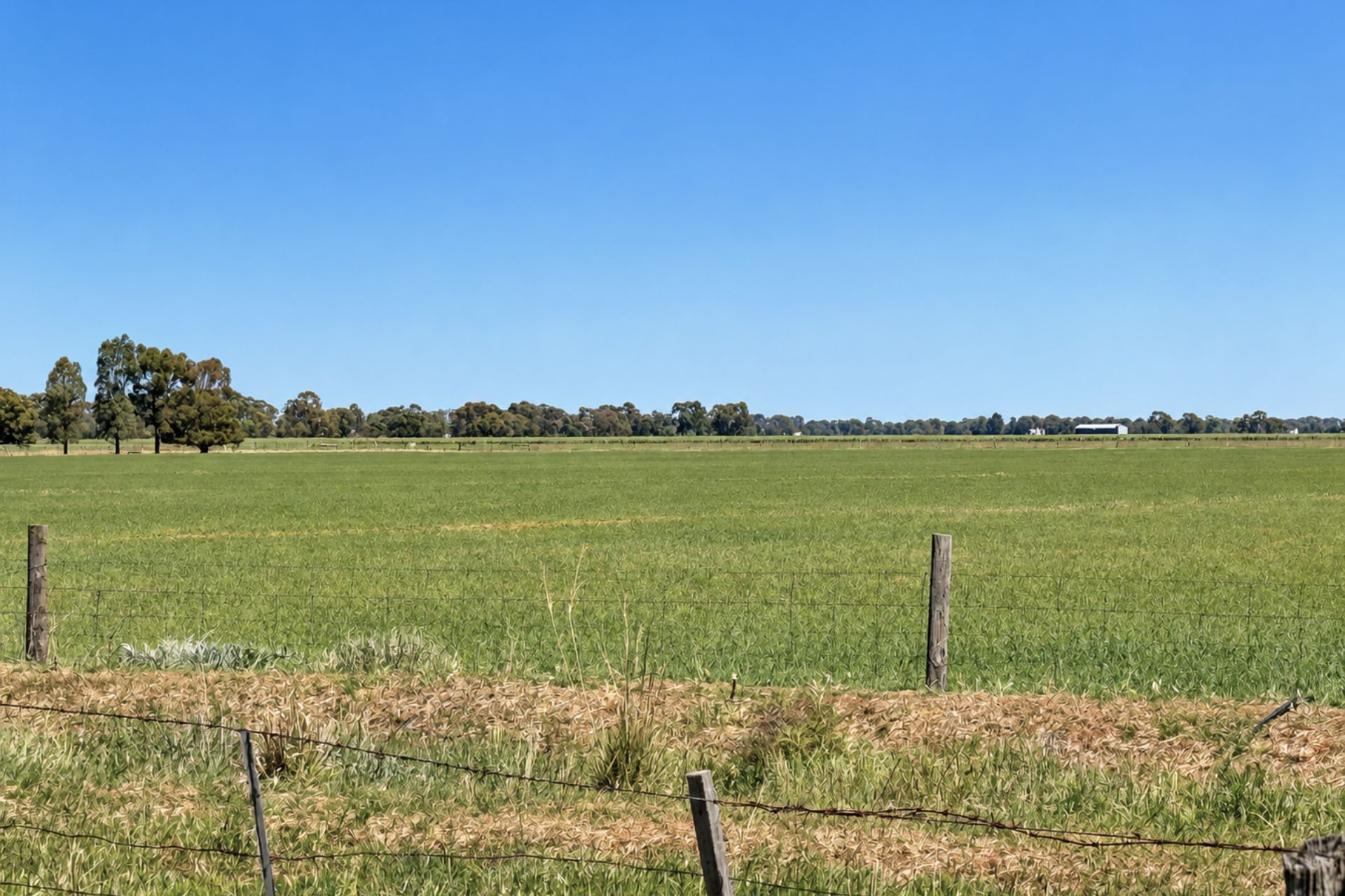 901 - 903 Johnson Road — photo from Ray White Rural Rochester