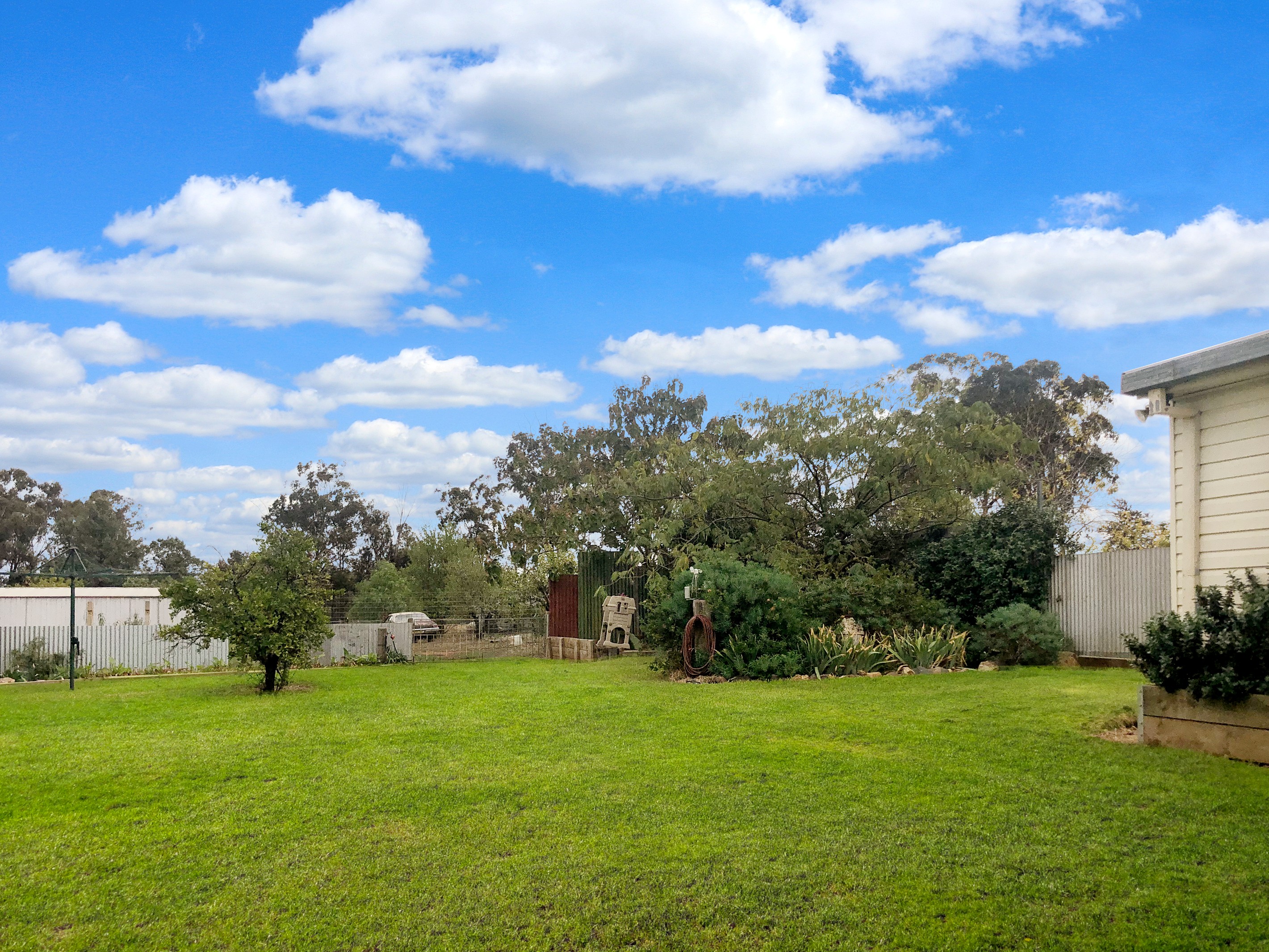 100 Wallace Street, Coolamon, NSW 2701