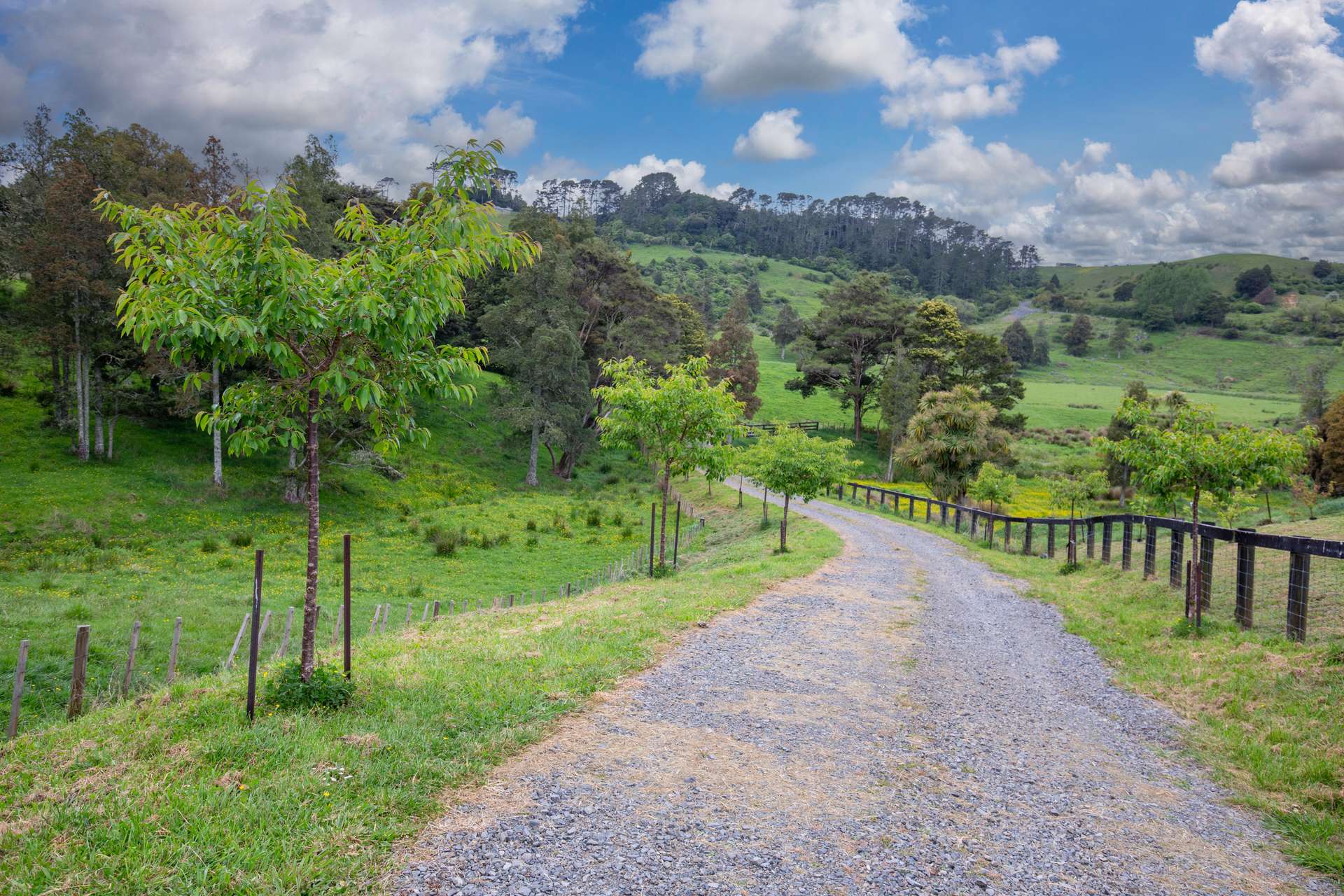 57 Ponganui Road photo 21