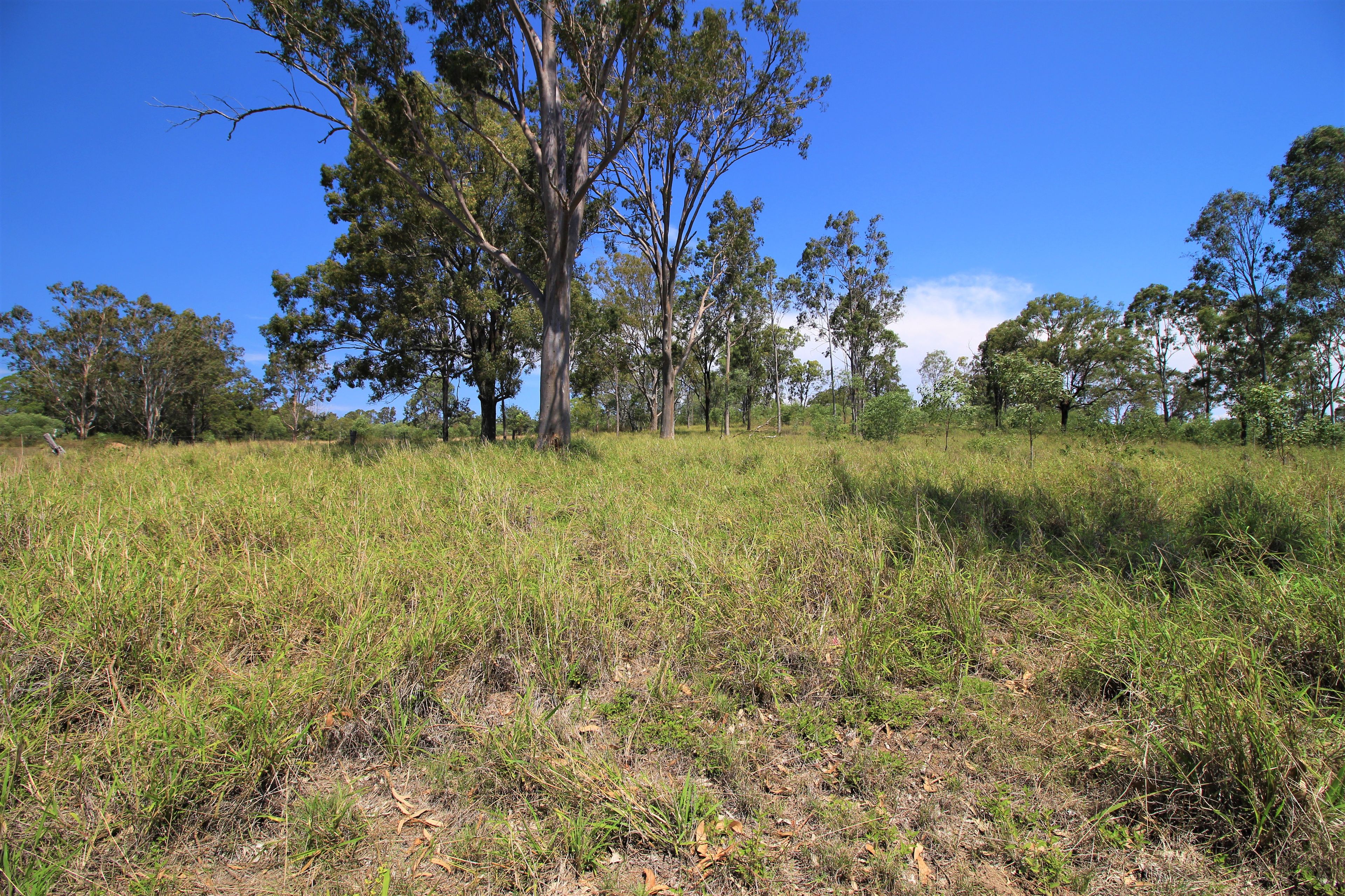 Lot 12 Brown Road, WANORA, QLD 4306