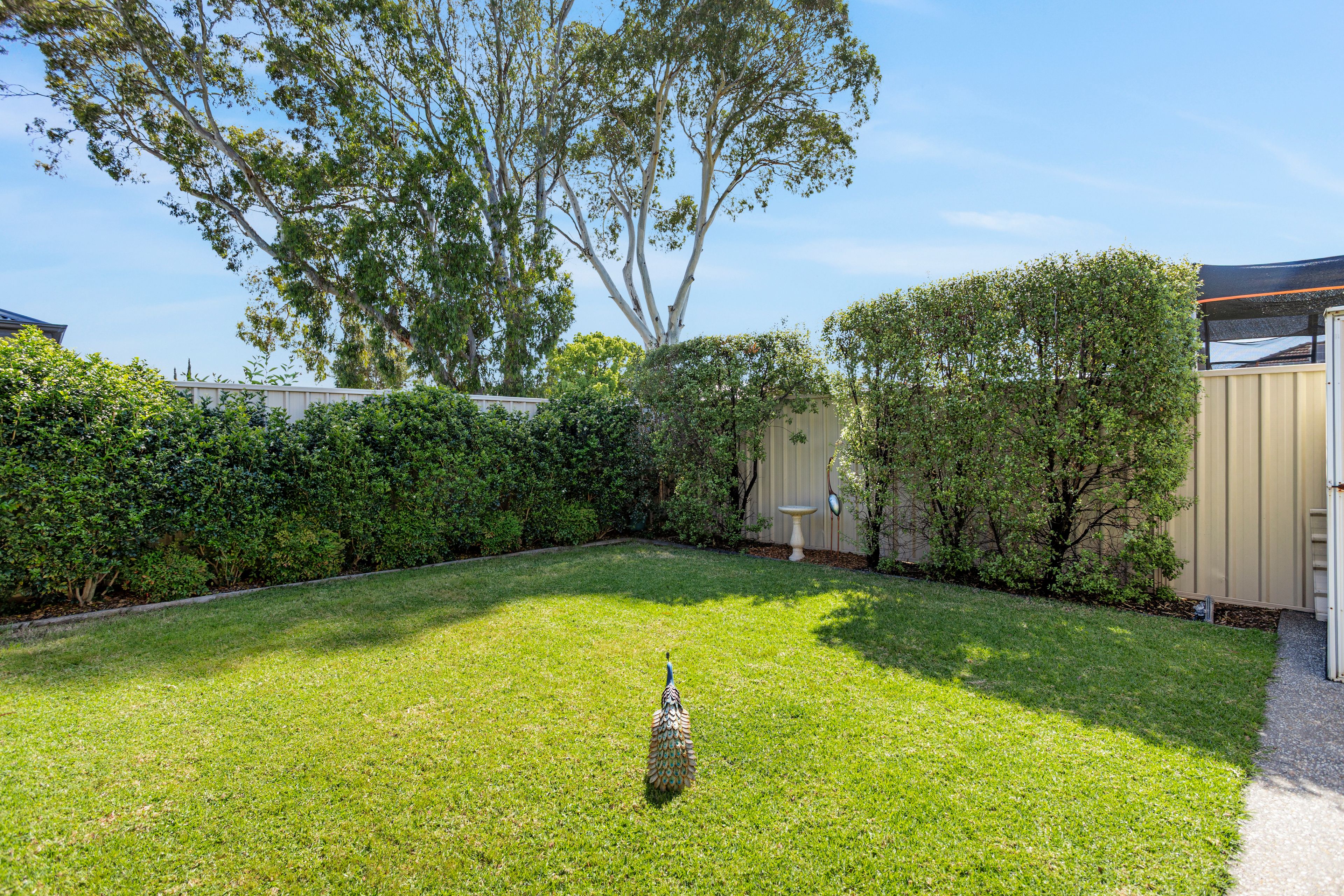 6 Blackler Avenue — photo 21 of 22