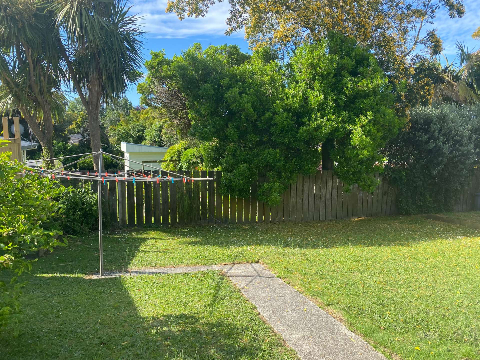 18B Linley Terrace photo 6