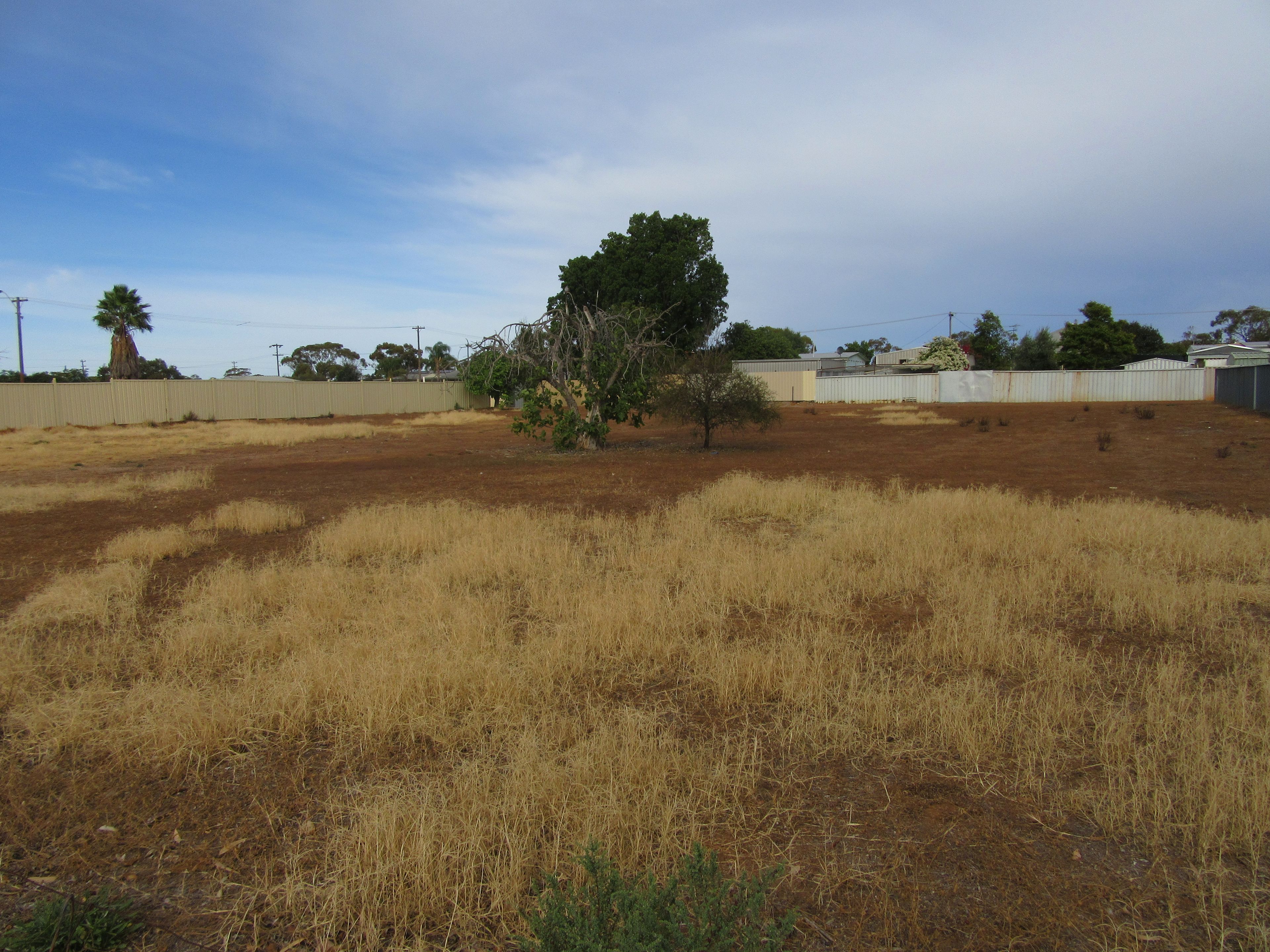 20 & 21 Railway Avenue, Carnamah, WA 6517