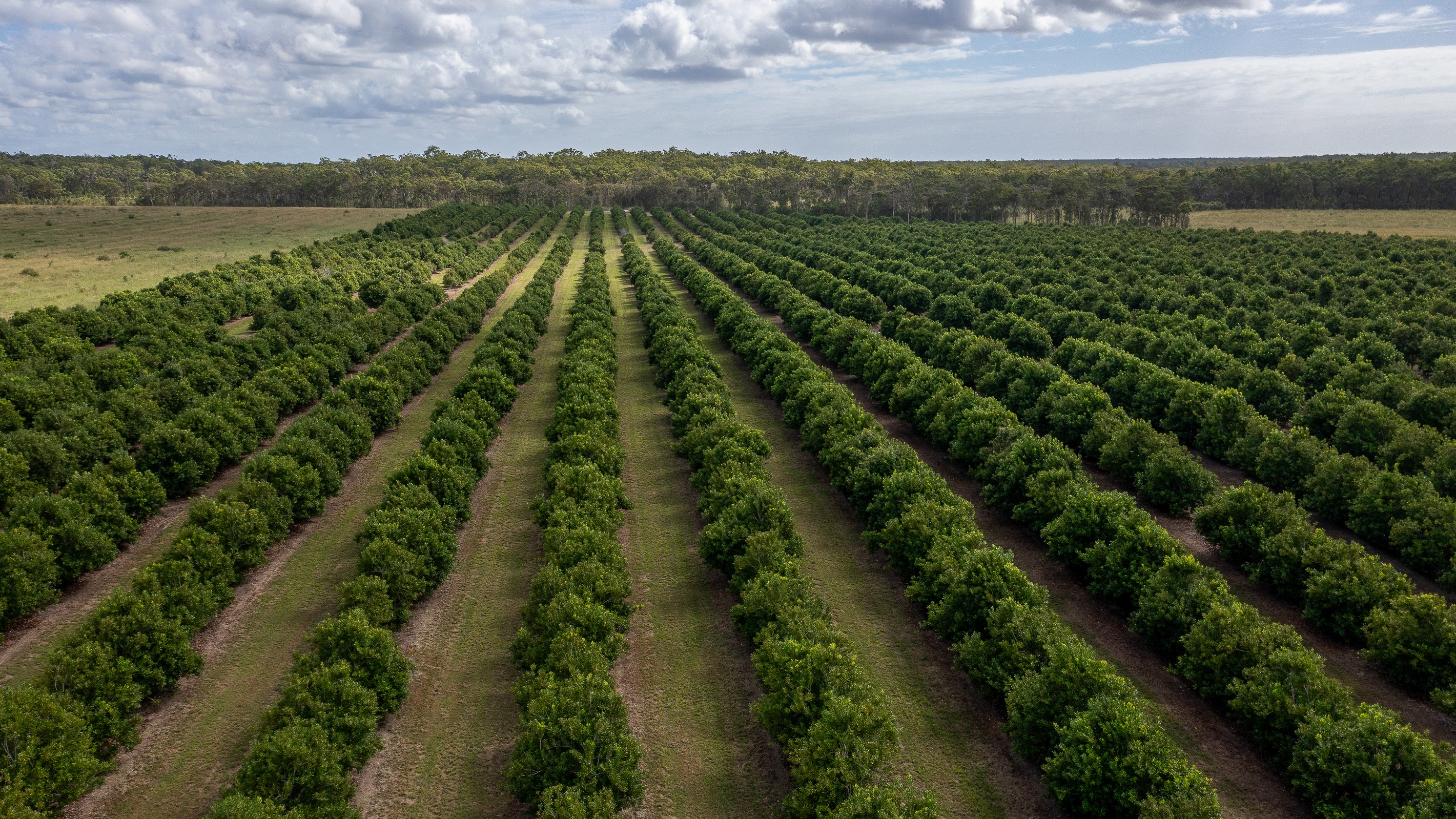 239 North Littabella Road, Mullett Creek, QLD 4670