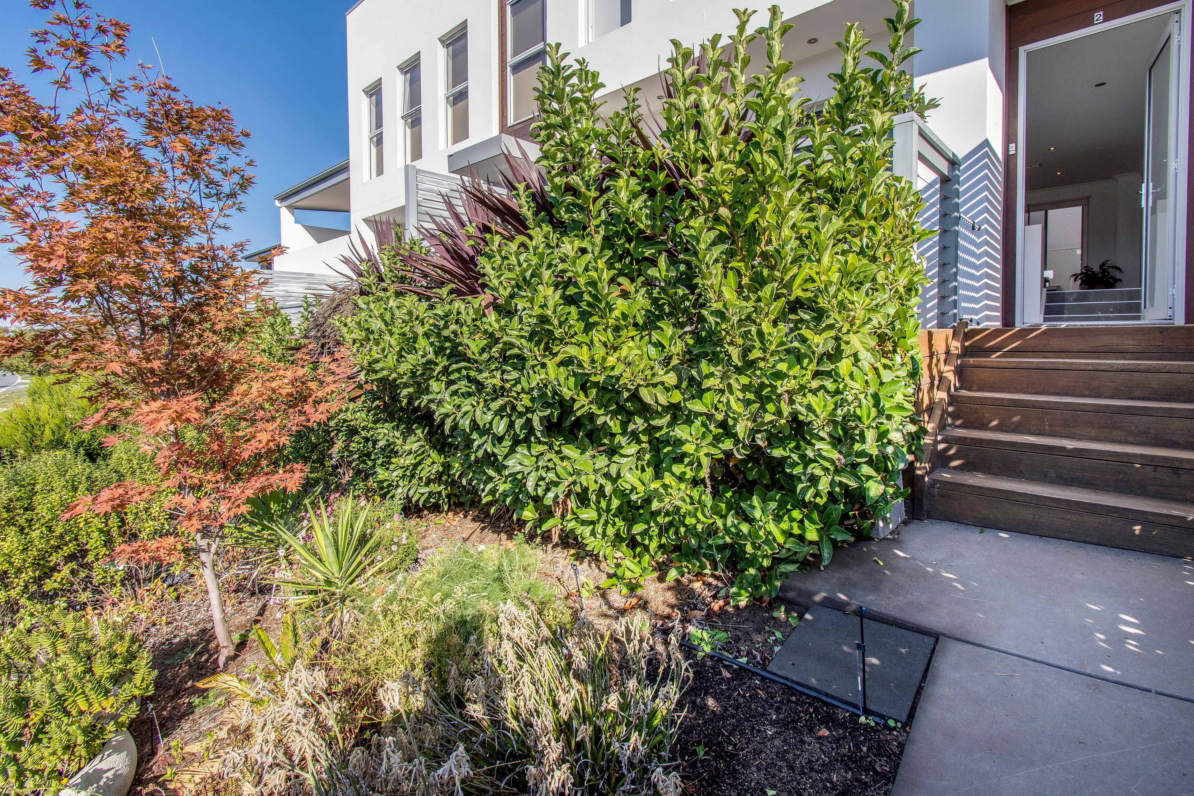 2/155 Plimsoll Drive, Casey, ACT 2913