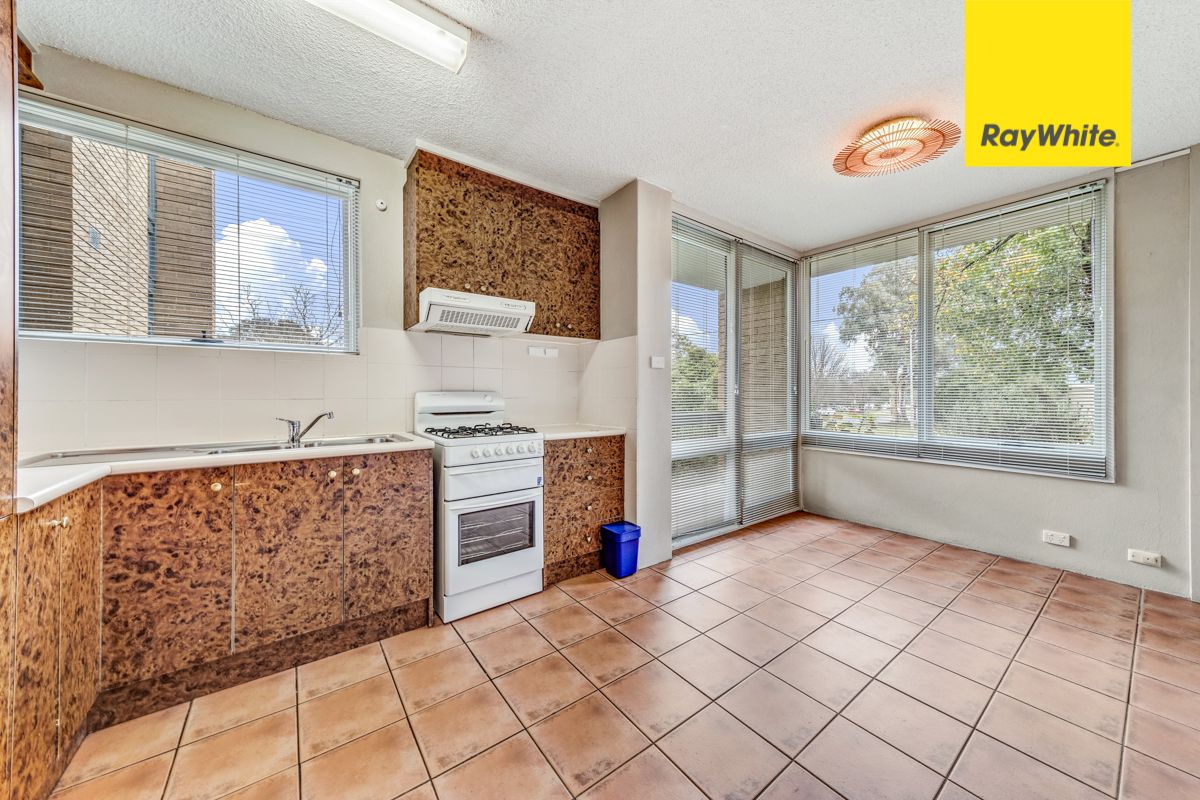 6B/109 Knox Street — photo 3 of 9