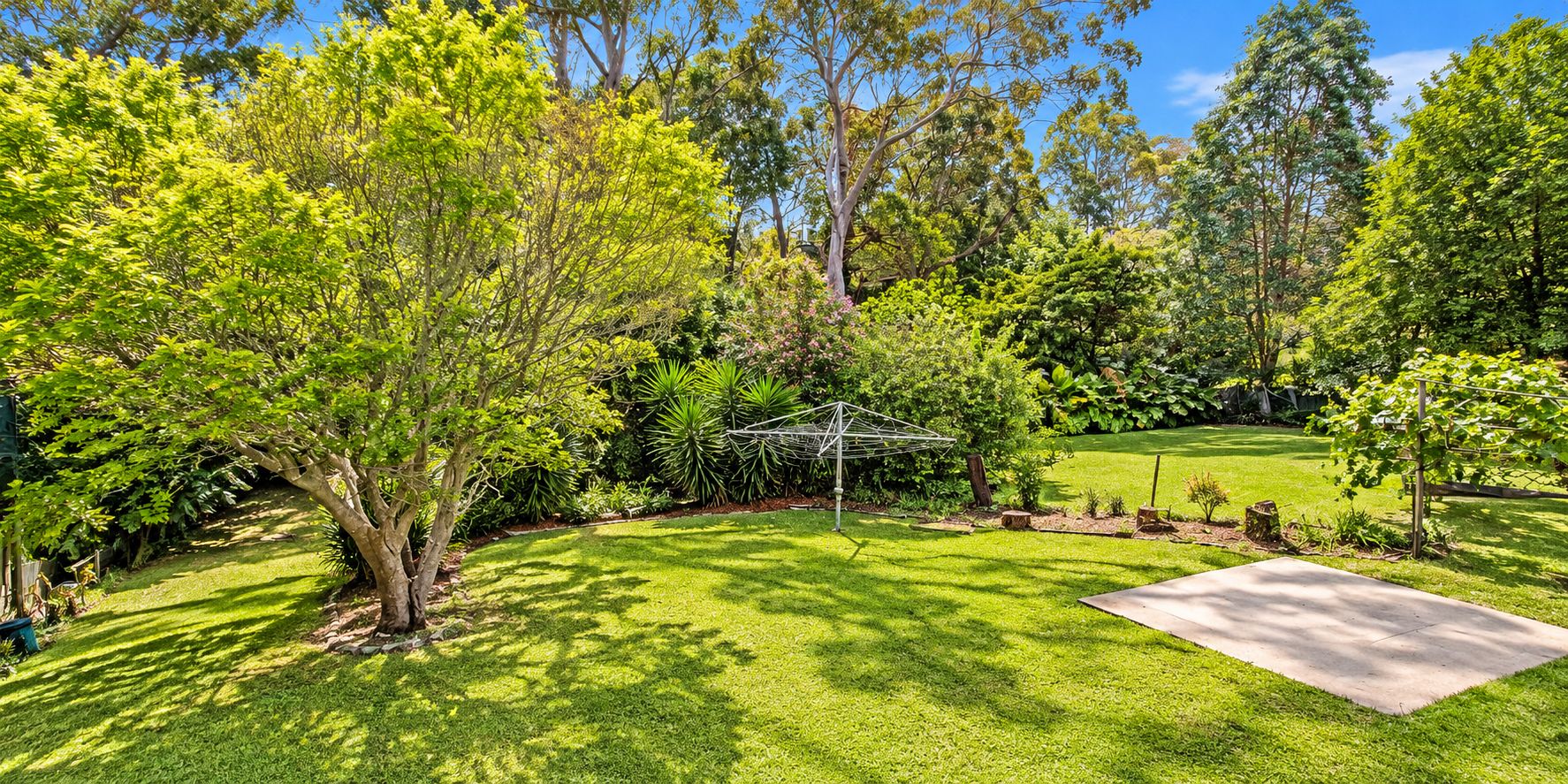 8 Rees Street — photo 11 of 12