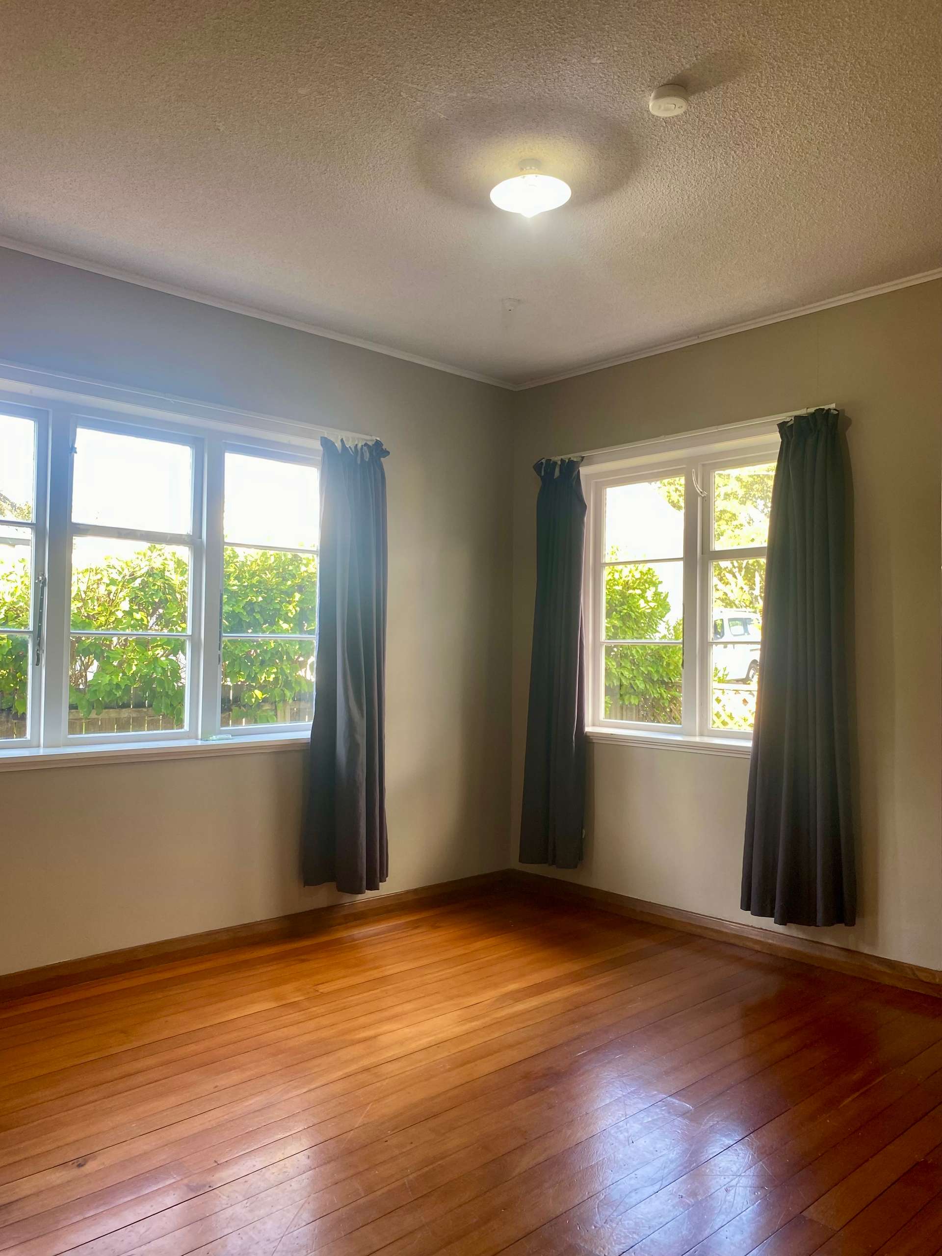 34 Matai Street photo 5