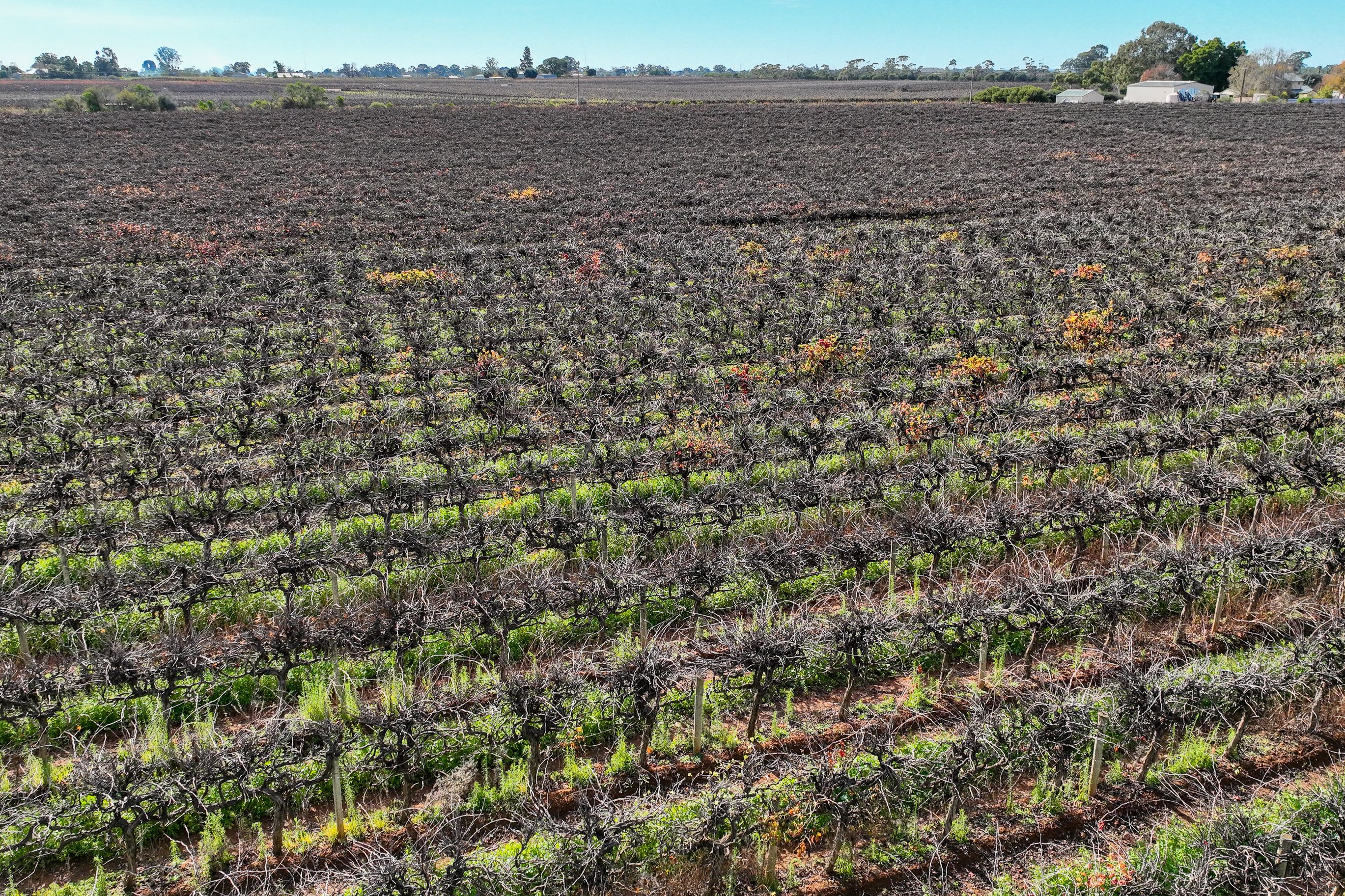 Lot 52 Hoffmann Road — photo 11 of 11