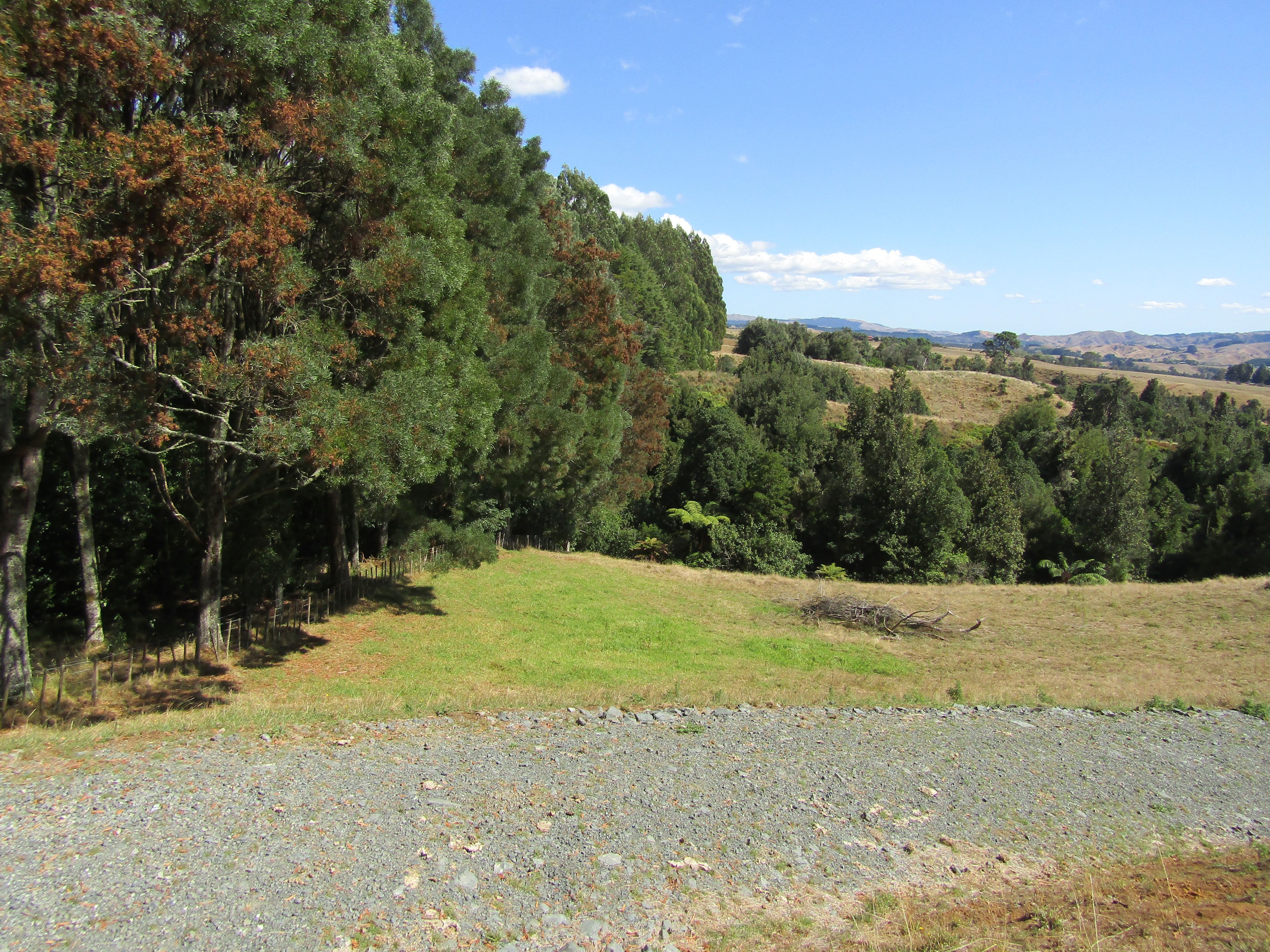 0 Waite Road, Te Pahu, Waipa District