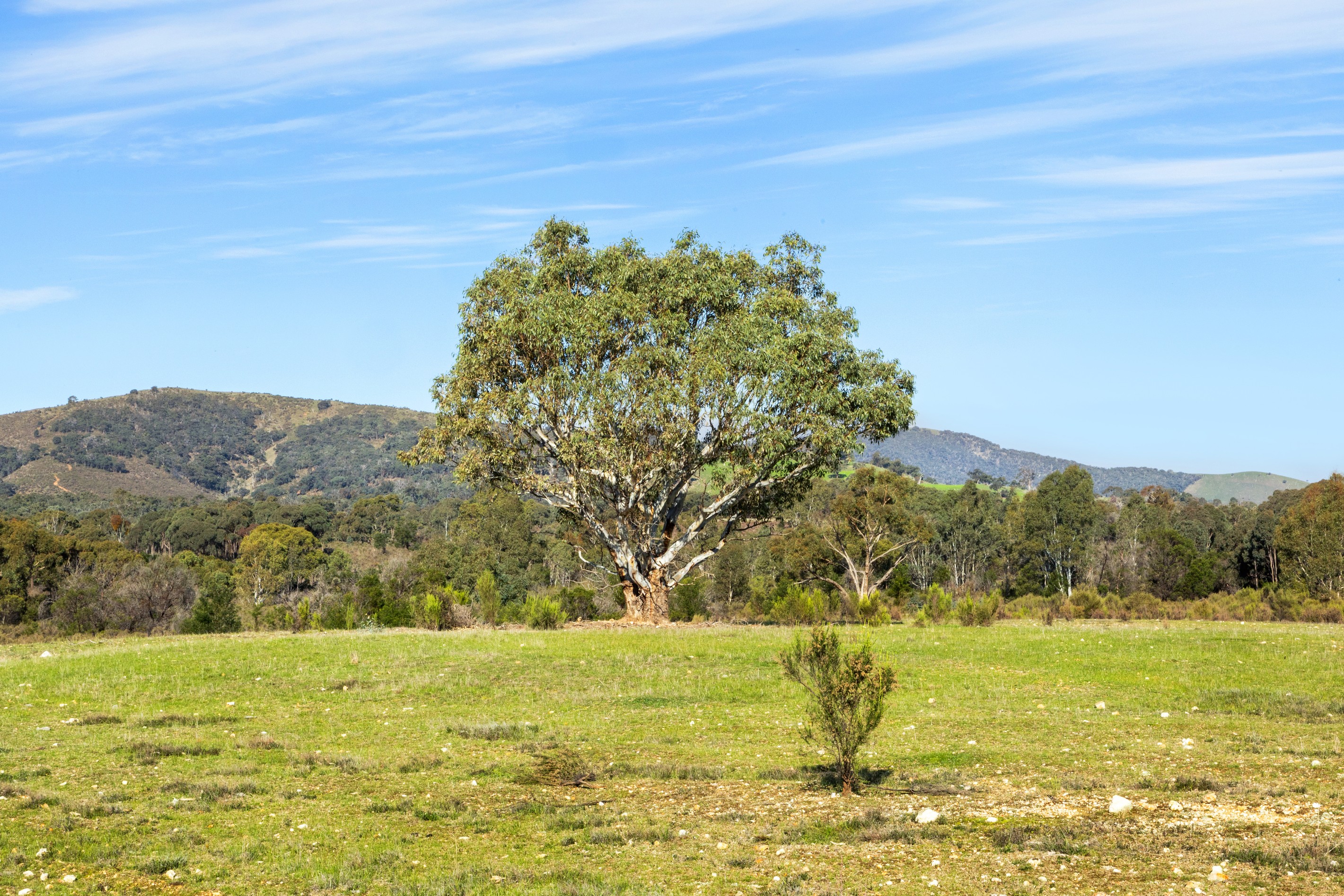 Amphitheatre, VIC 3468