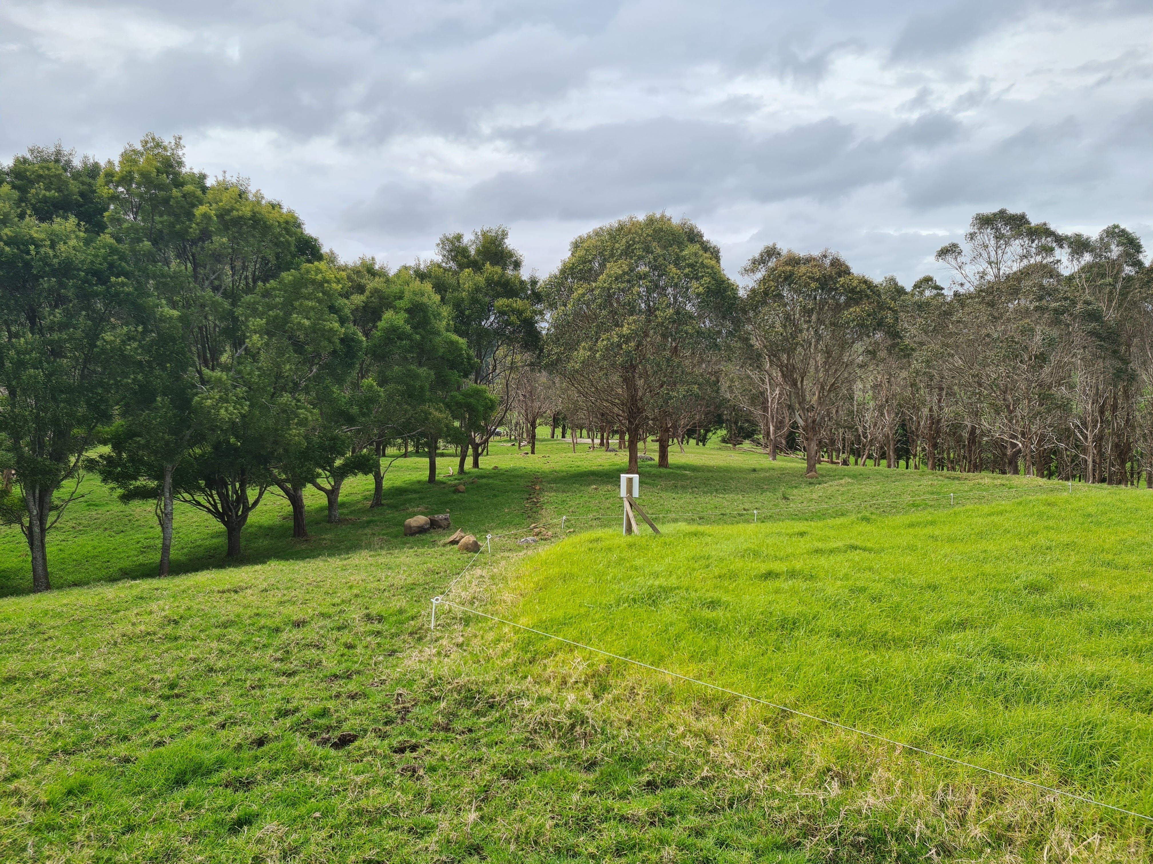 54 Hall Road, Tinopai, Kaipara District 0593 Sold Lifestyle Section