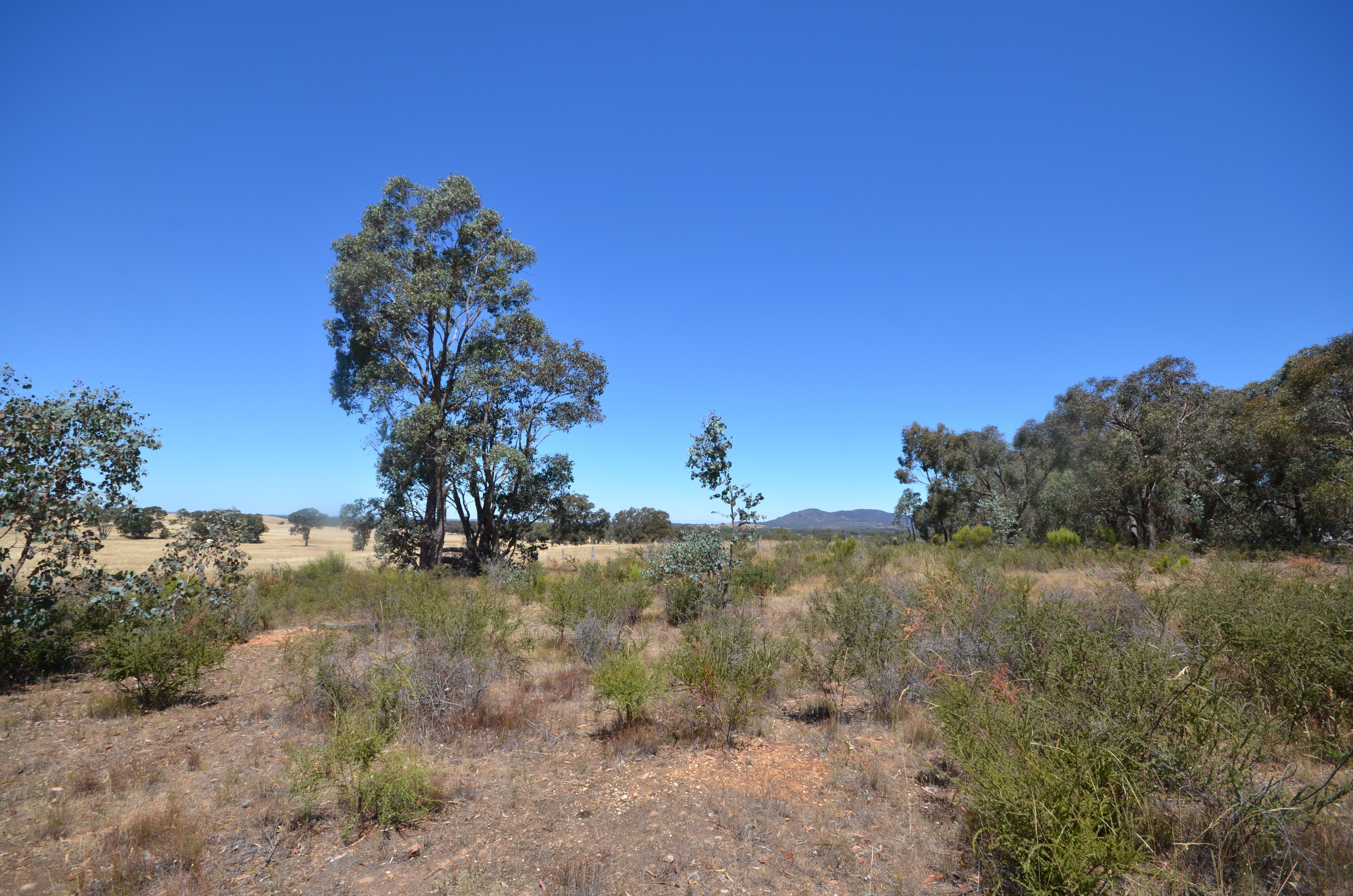 116 Moonambel-Natte Yallock Road, Moonambel, VIC 3478